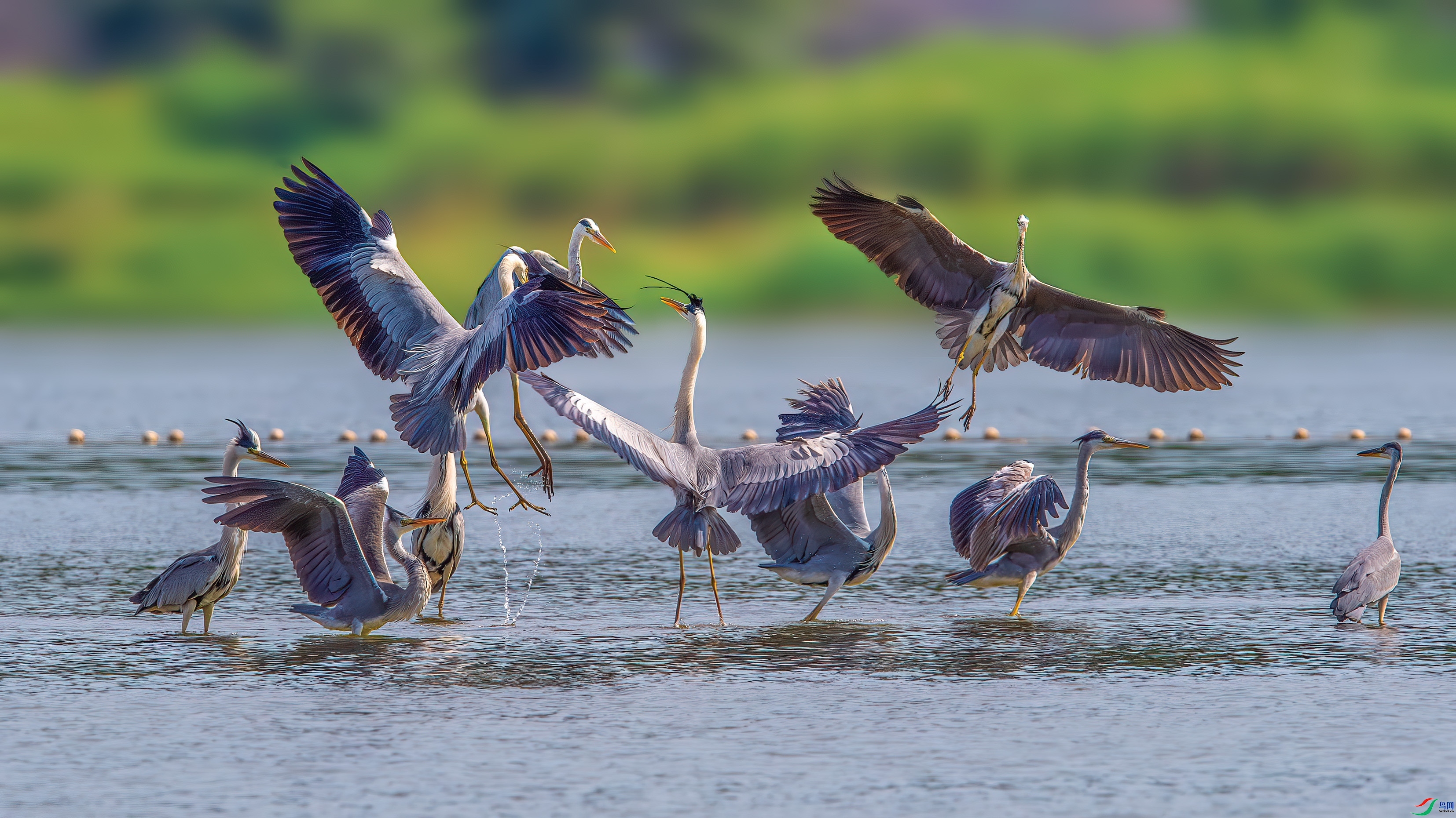 ����  ���� ��ѧ�� ��һ.jpg