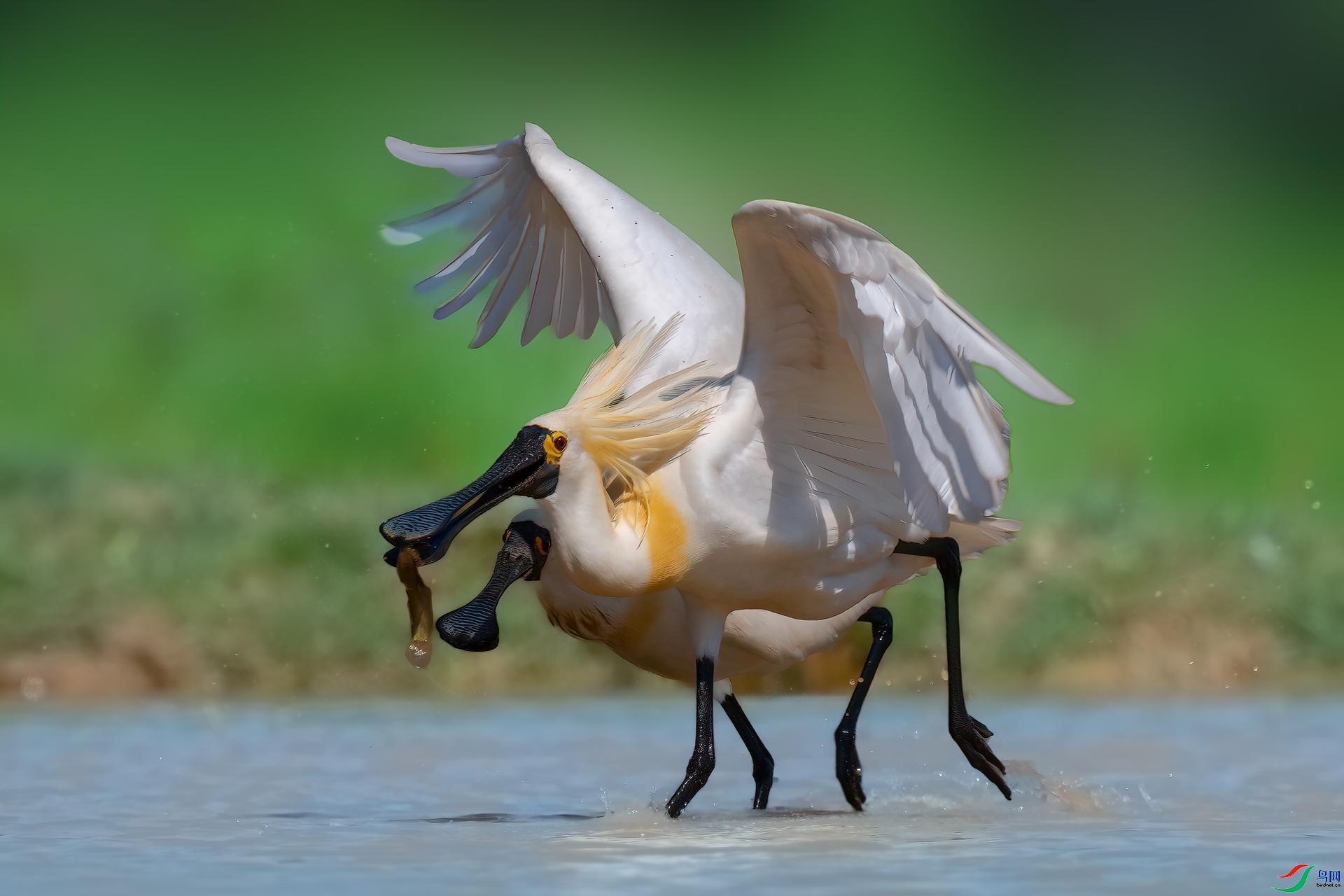 ׷��  ���� ���� ��һ.jpg