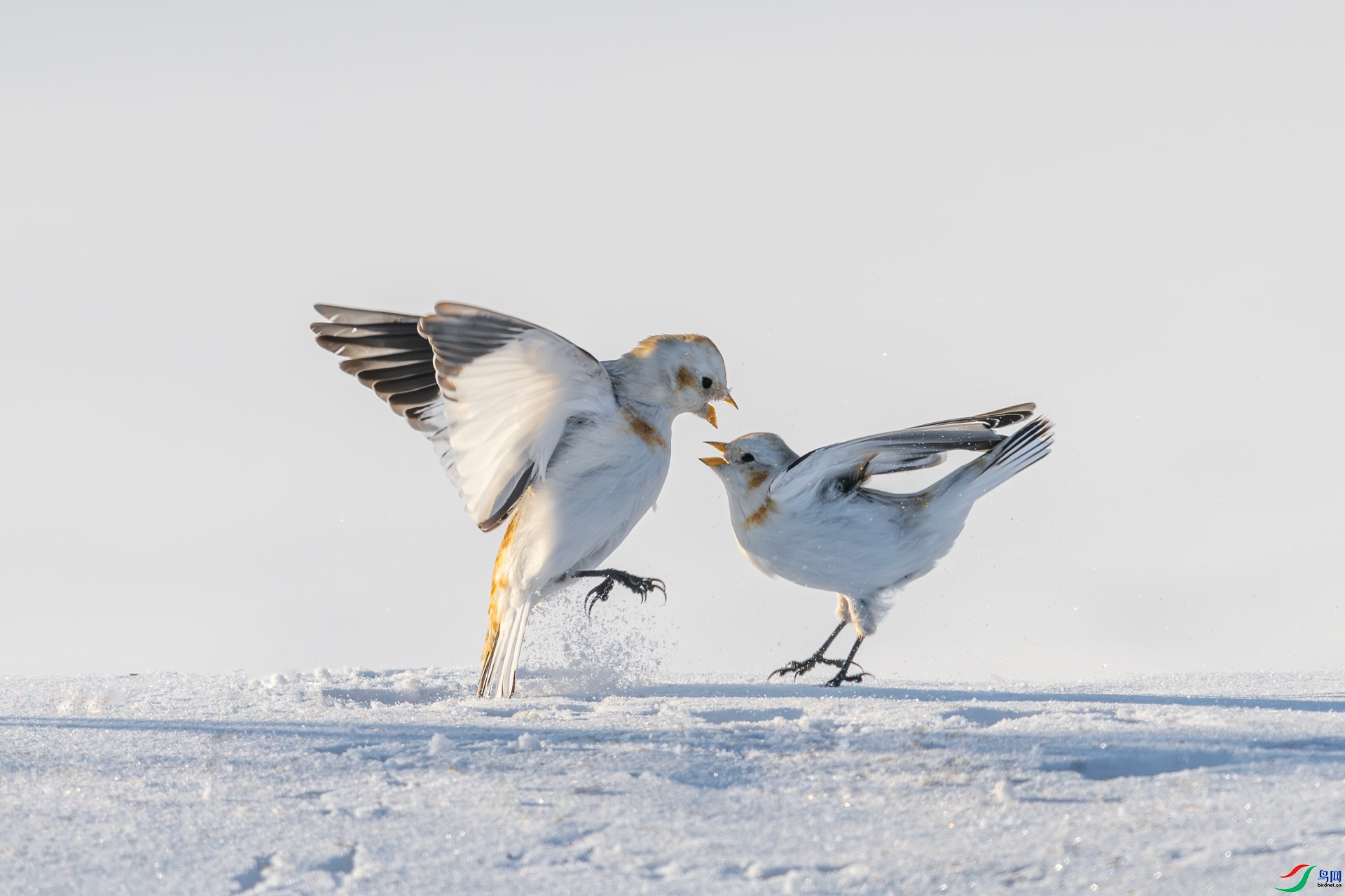 �������� ���� 0459���� �ܶ�.jpg