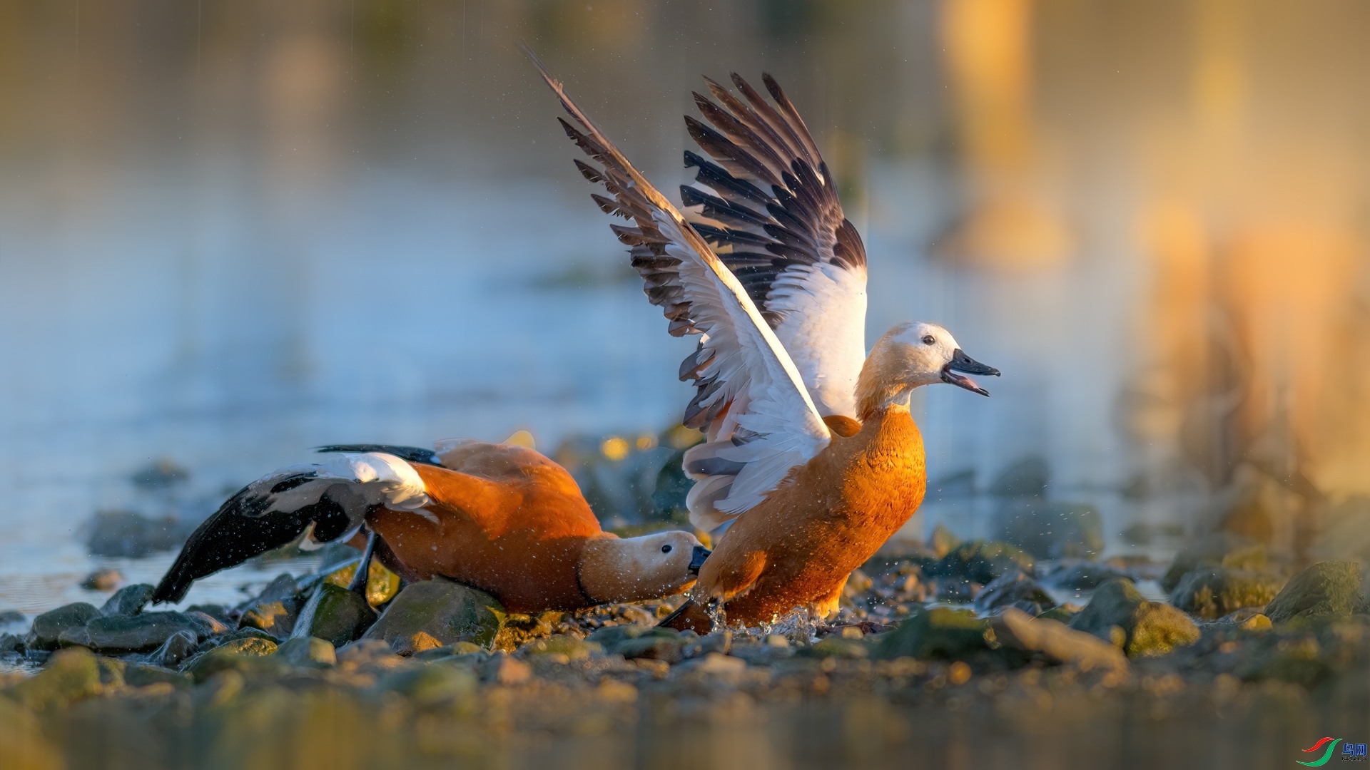 ⧲����� ���� ���� �ܶ�.jpg