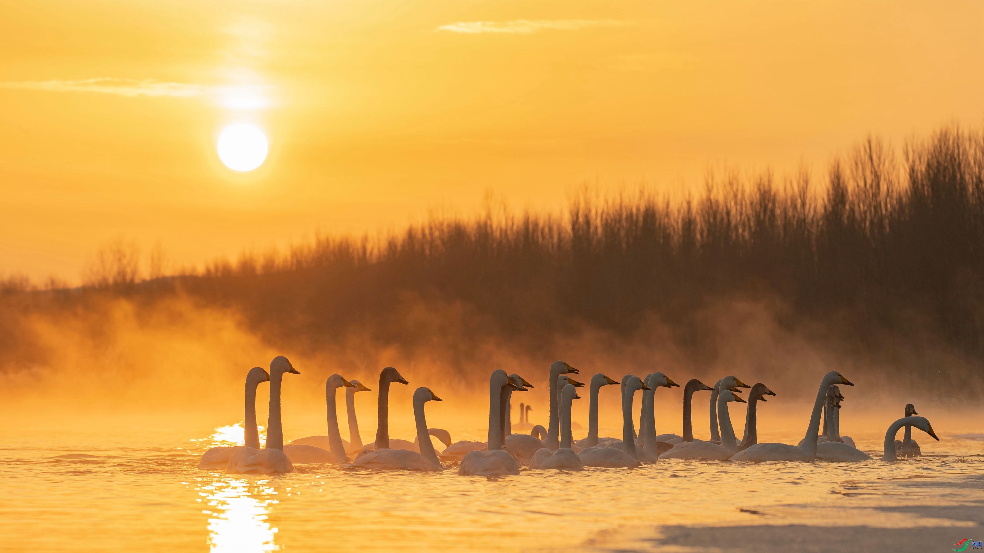 �ȴ� ���� �����ү �ܶ�.jpg