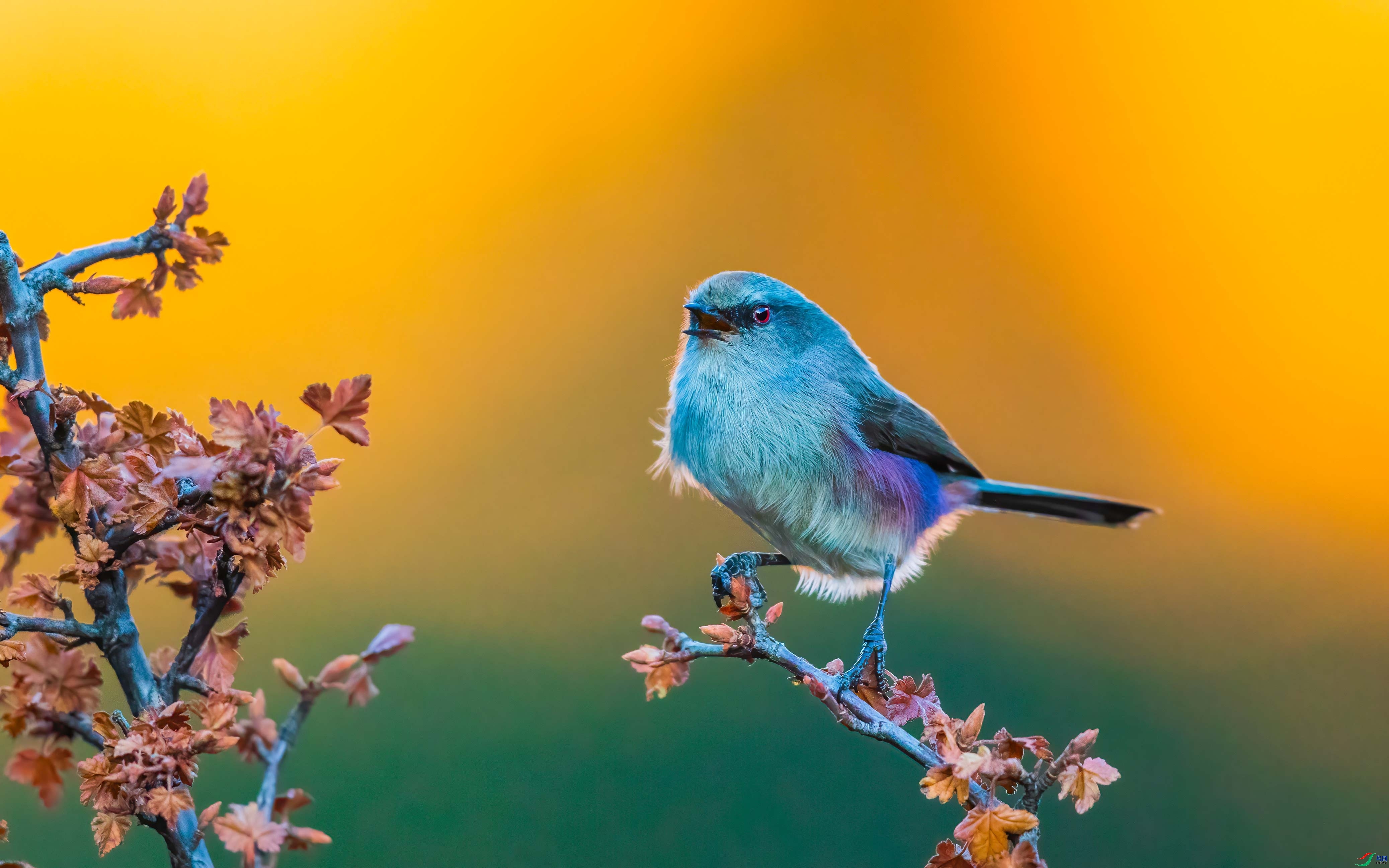 �����Ƕȳ��� ���� �ɶ��Ͻ� �ܶ�.jpg