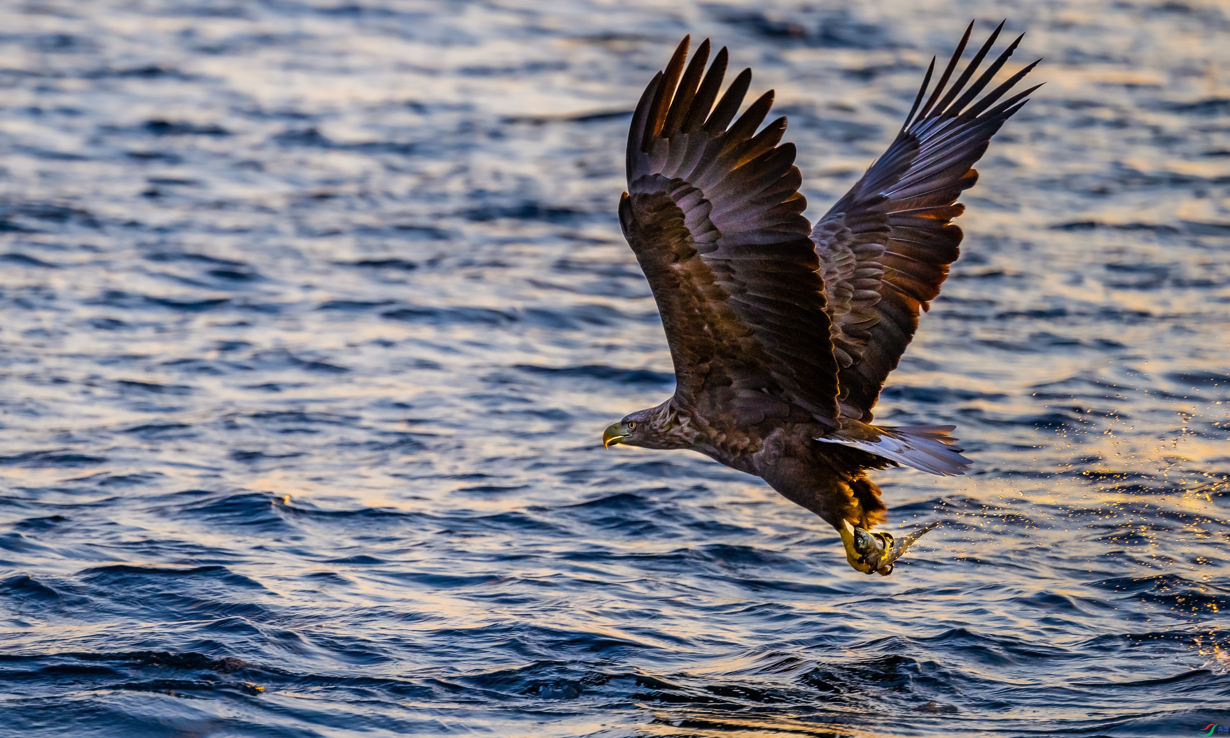 �������ࣨ�㣩���� ��������bj  �ܶ�.jpg