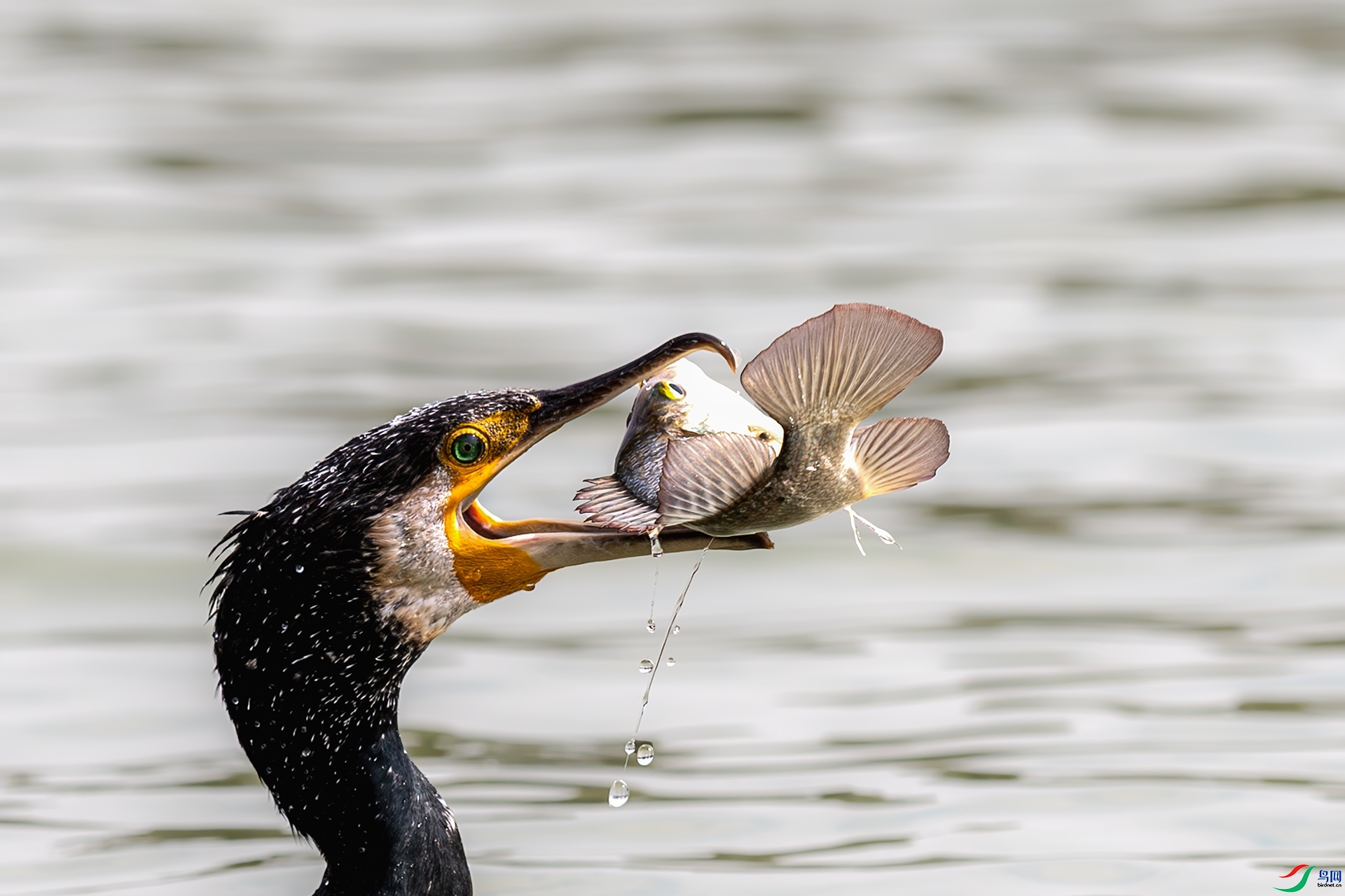 ����  ���� ����ǿ ����.jpg