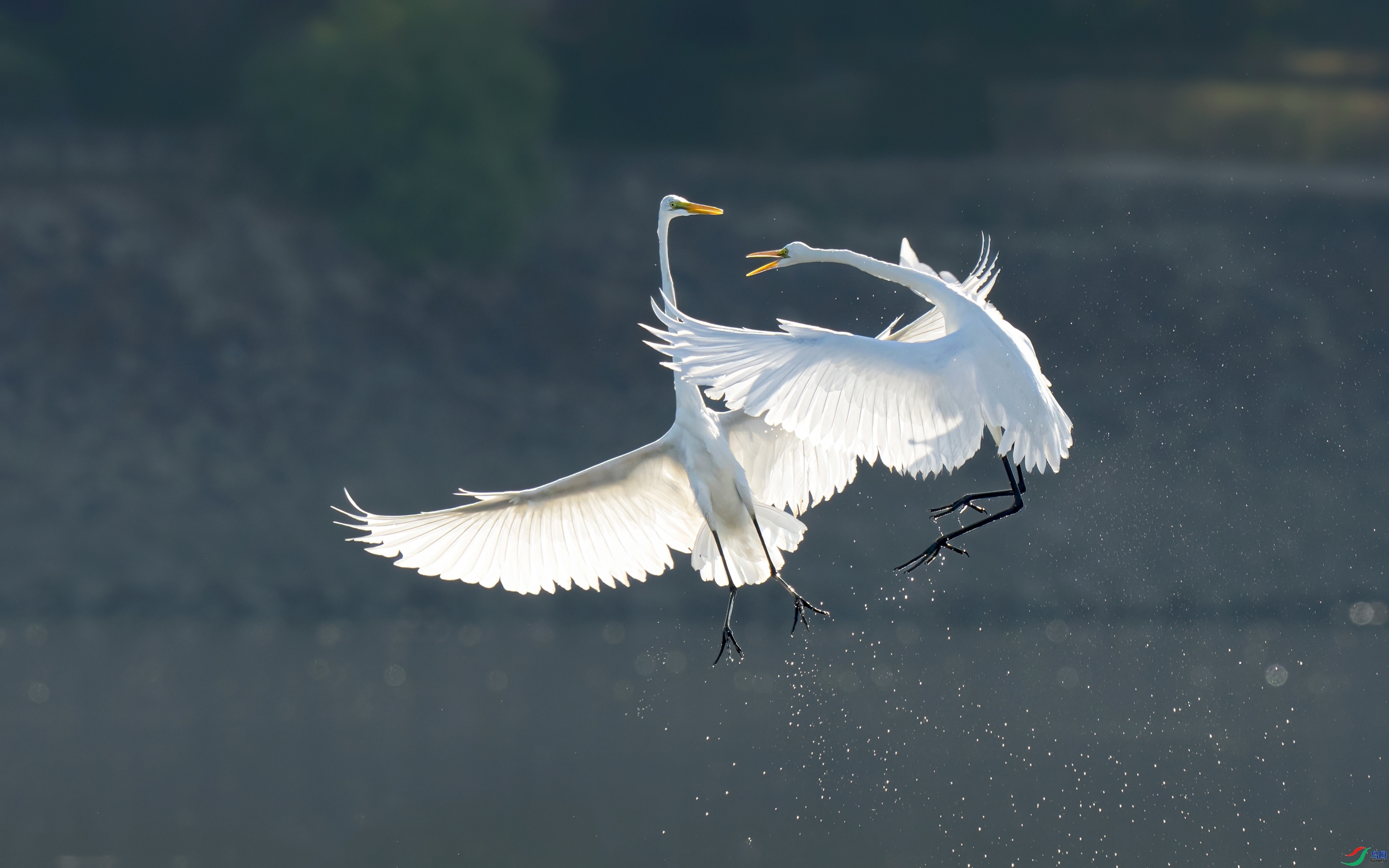 ����һ�� ���� ���� ����.jpg