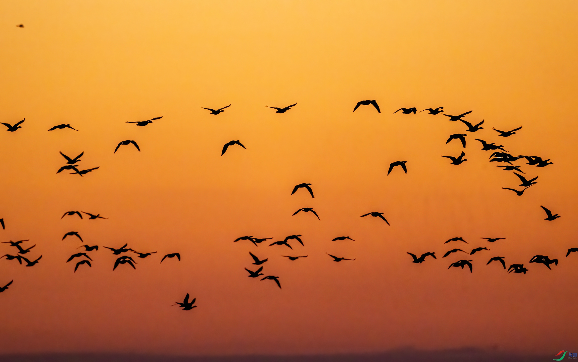 DSC_1106-11.jpg
