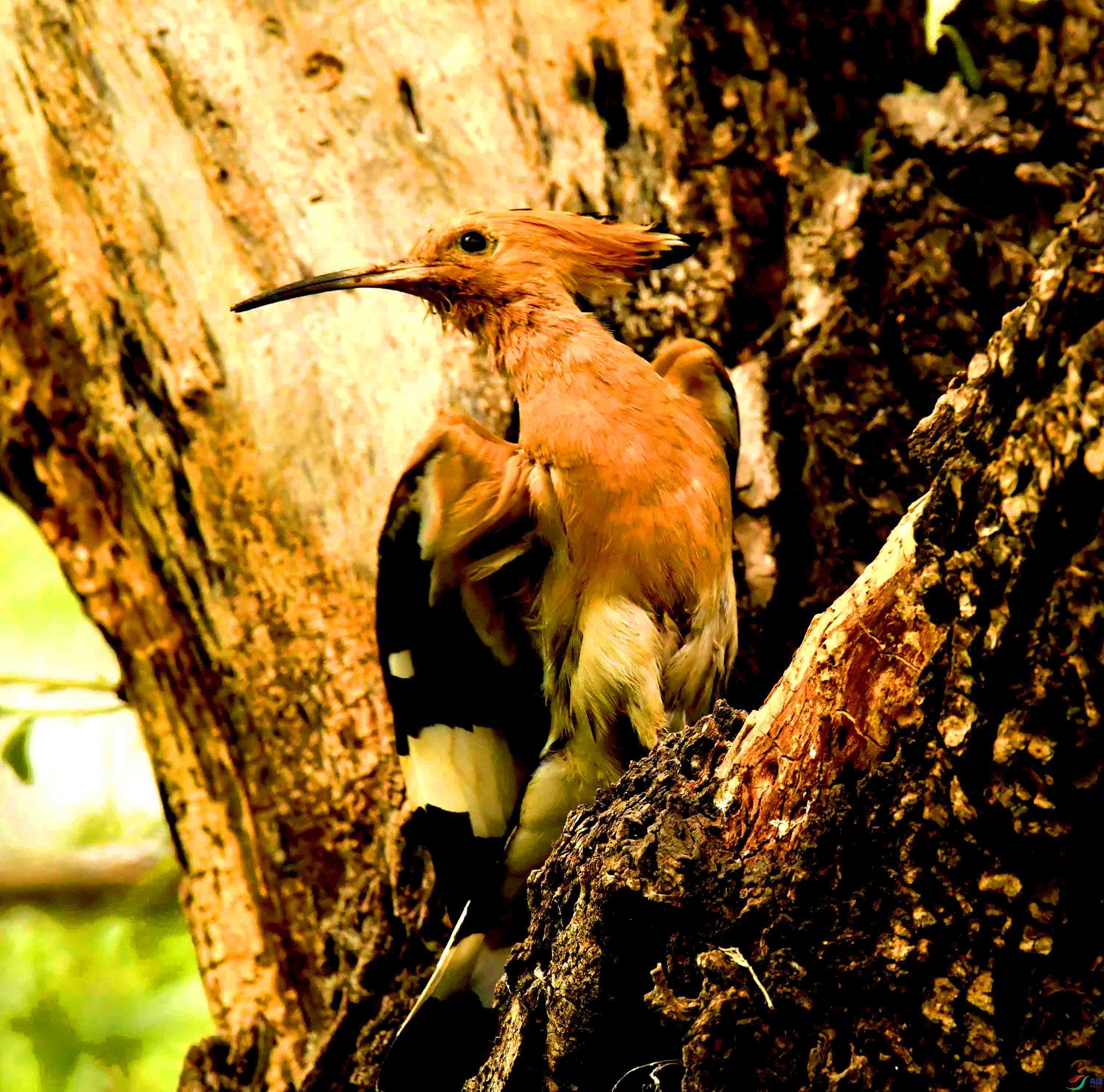 DSC_7917.JPG