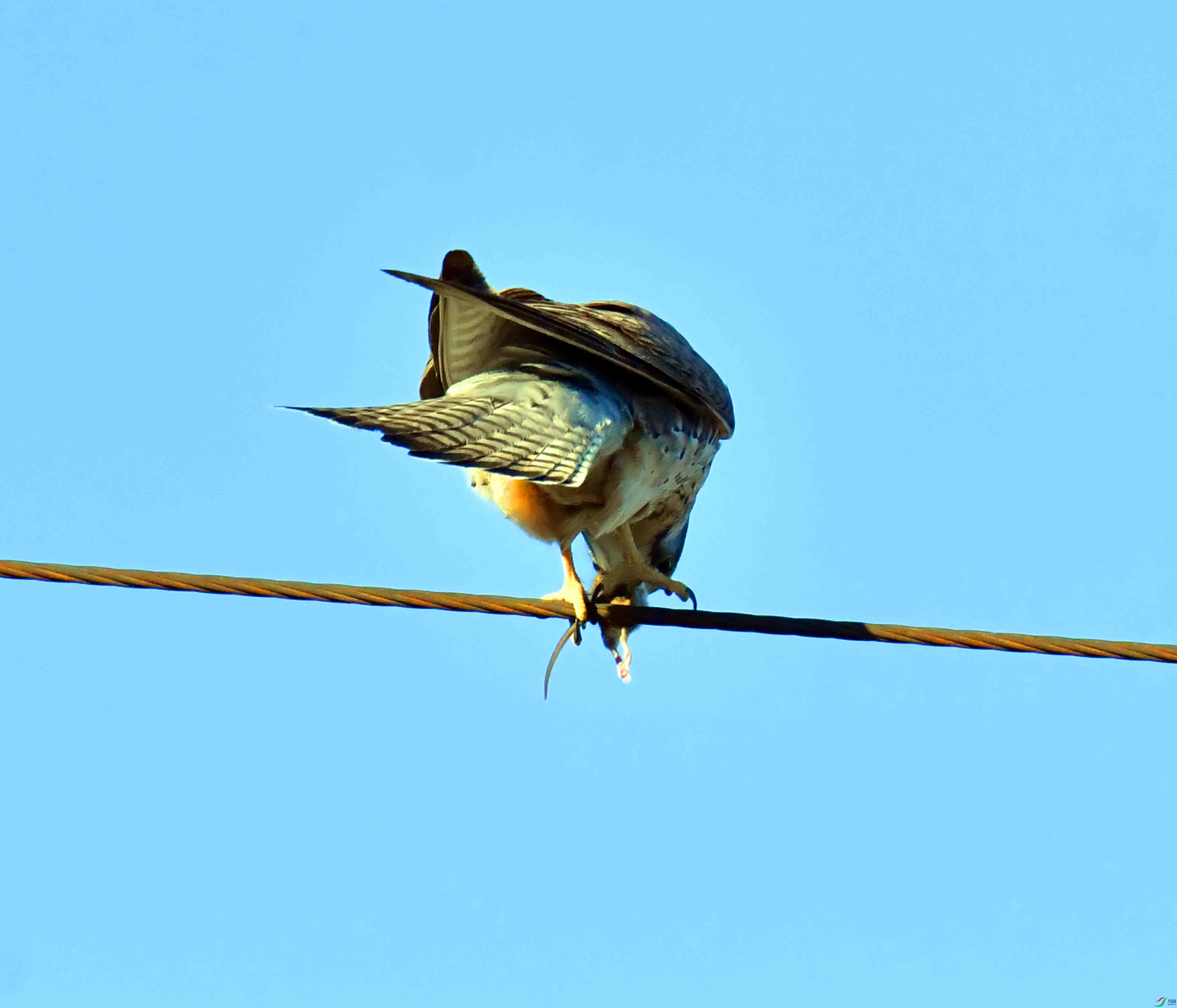 DSC_6686.JPG