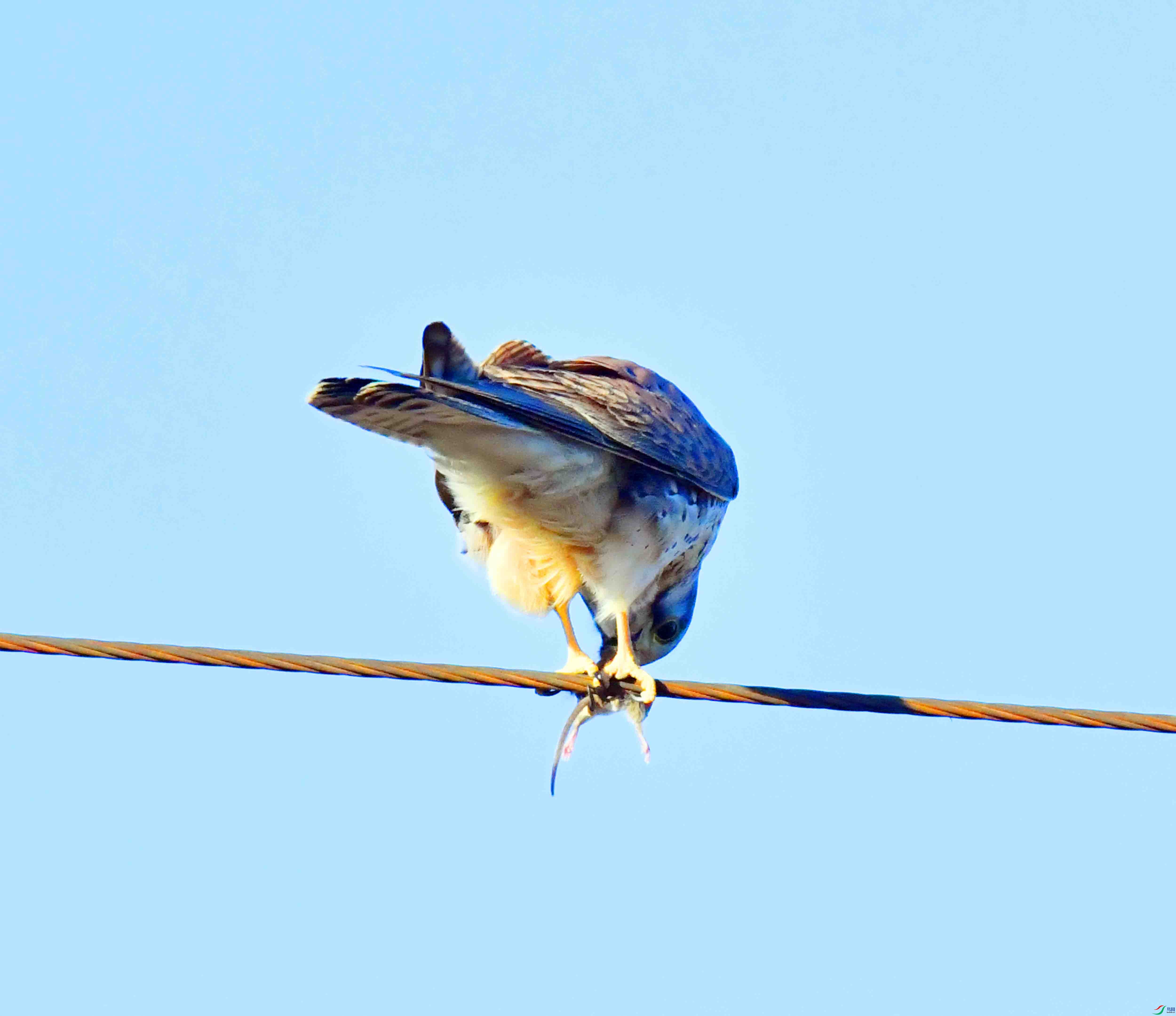 DSC_6736.JPG