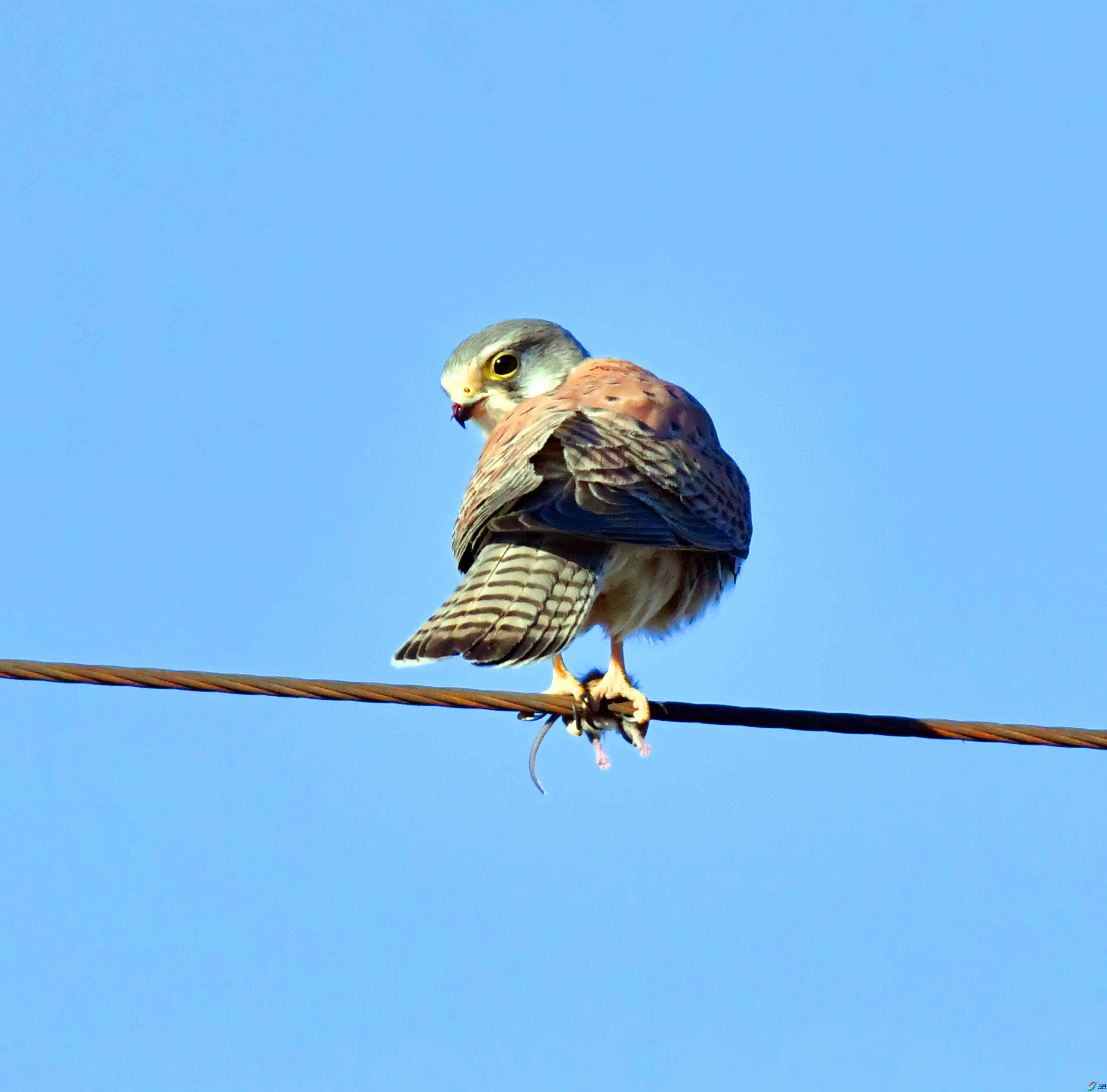 DSC_6766.JPG