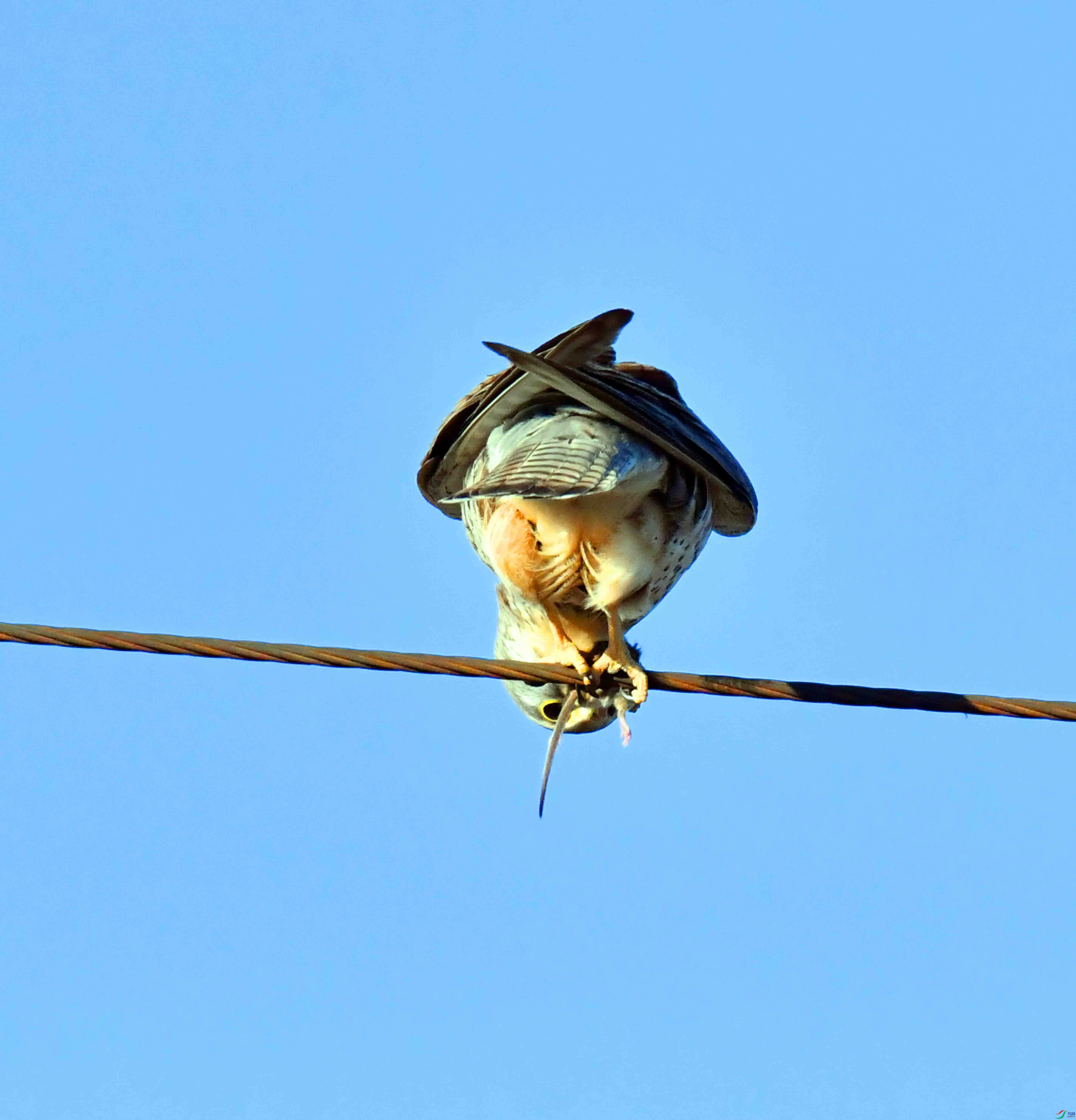 DSC_6709.JPG