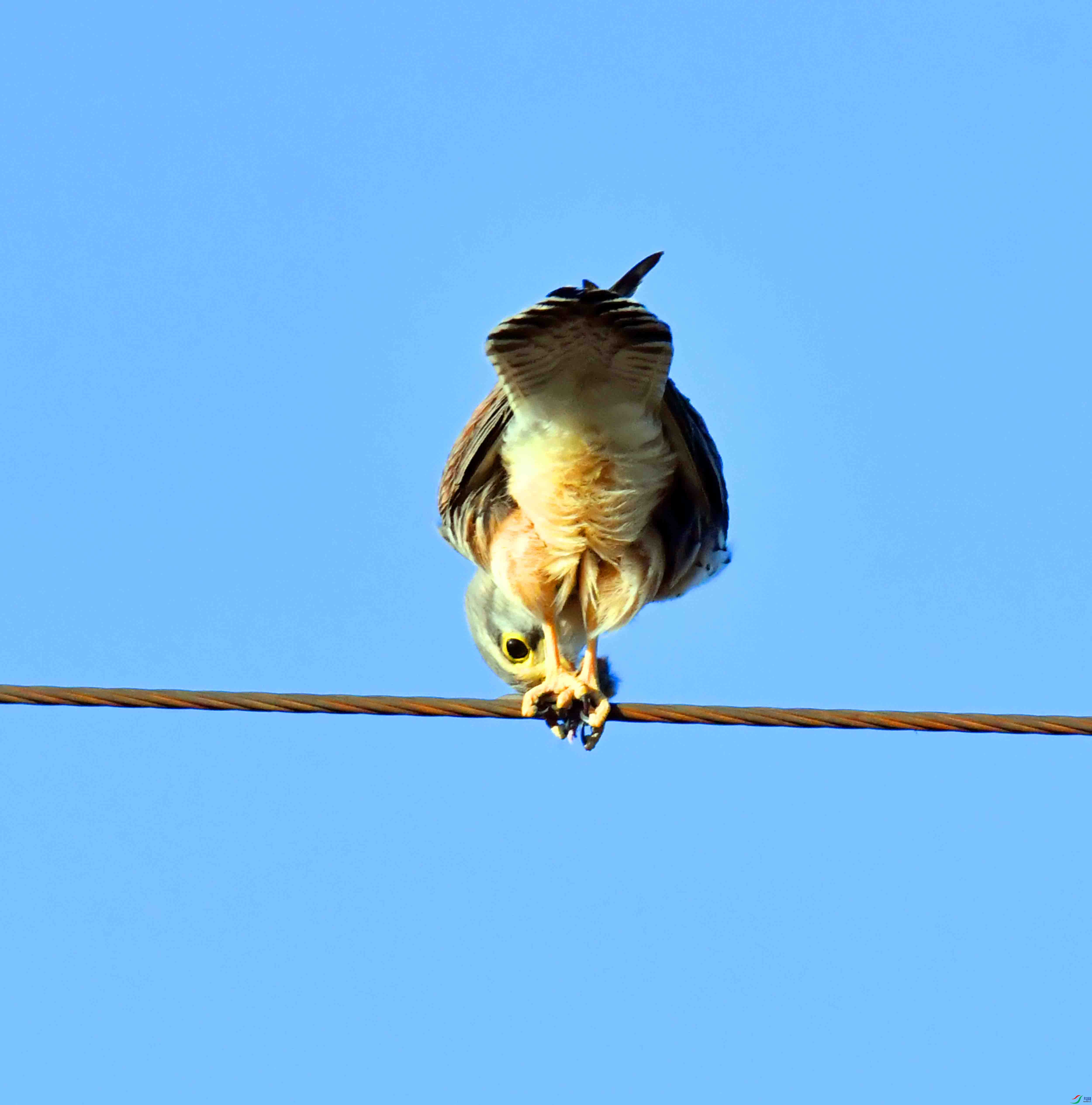 DSC_6797.JPG