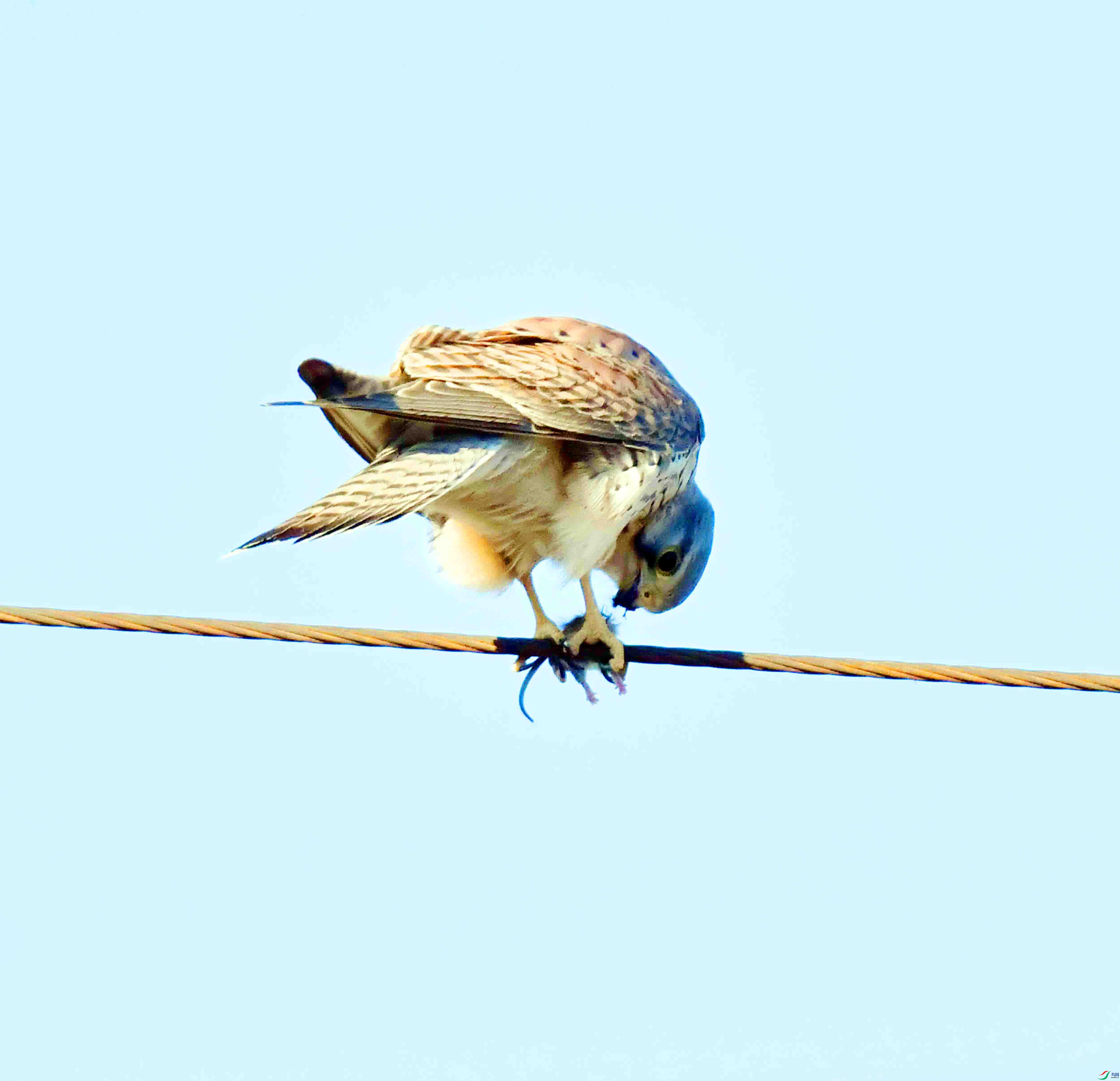 DSC_6792.JPG
