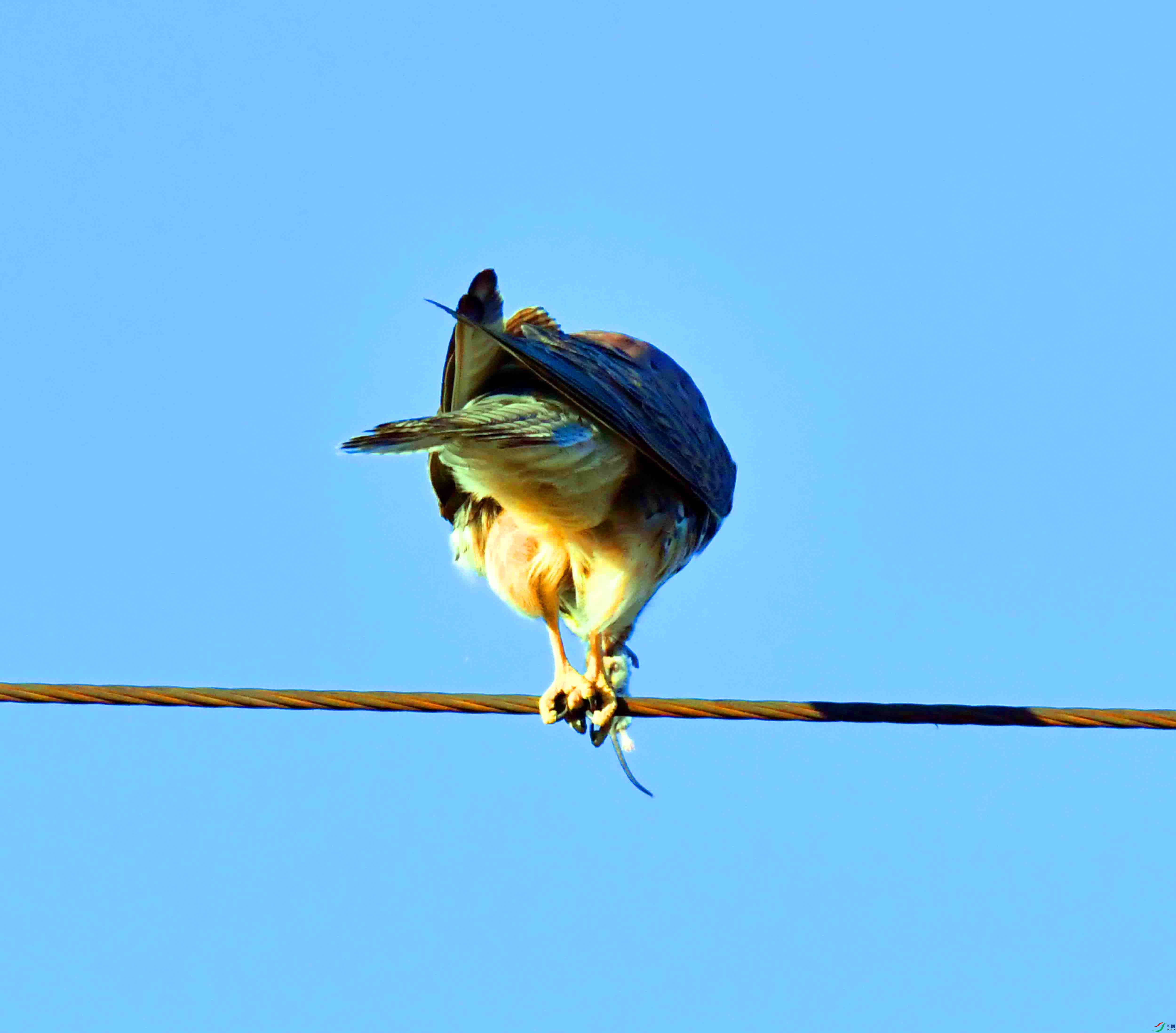 DSC_6825.JPG