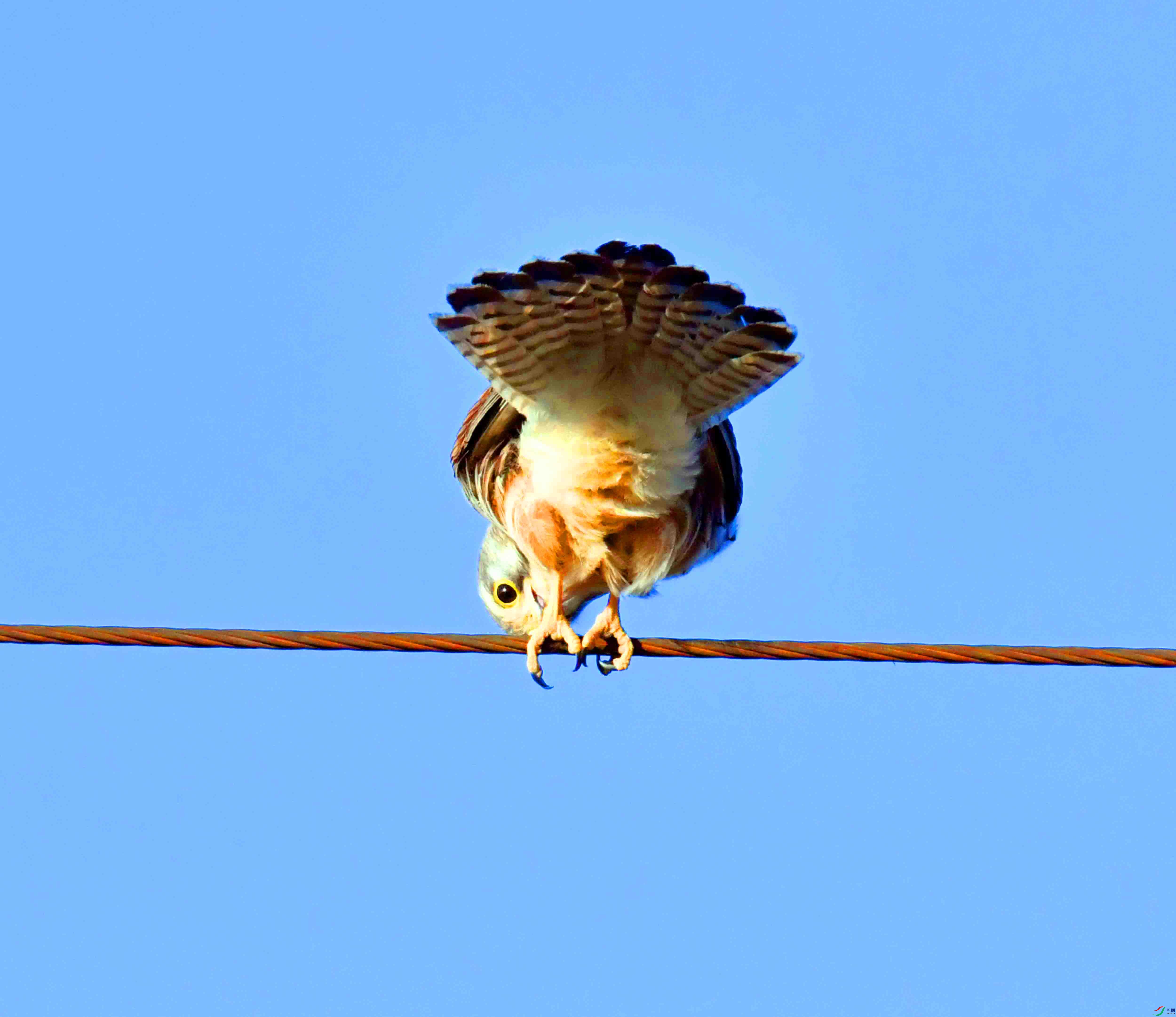 DSC_6829.JPG