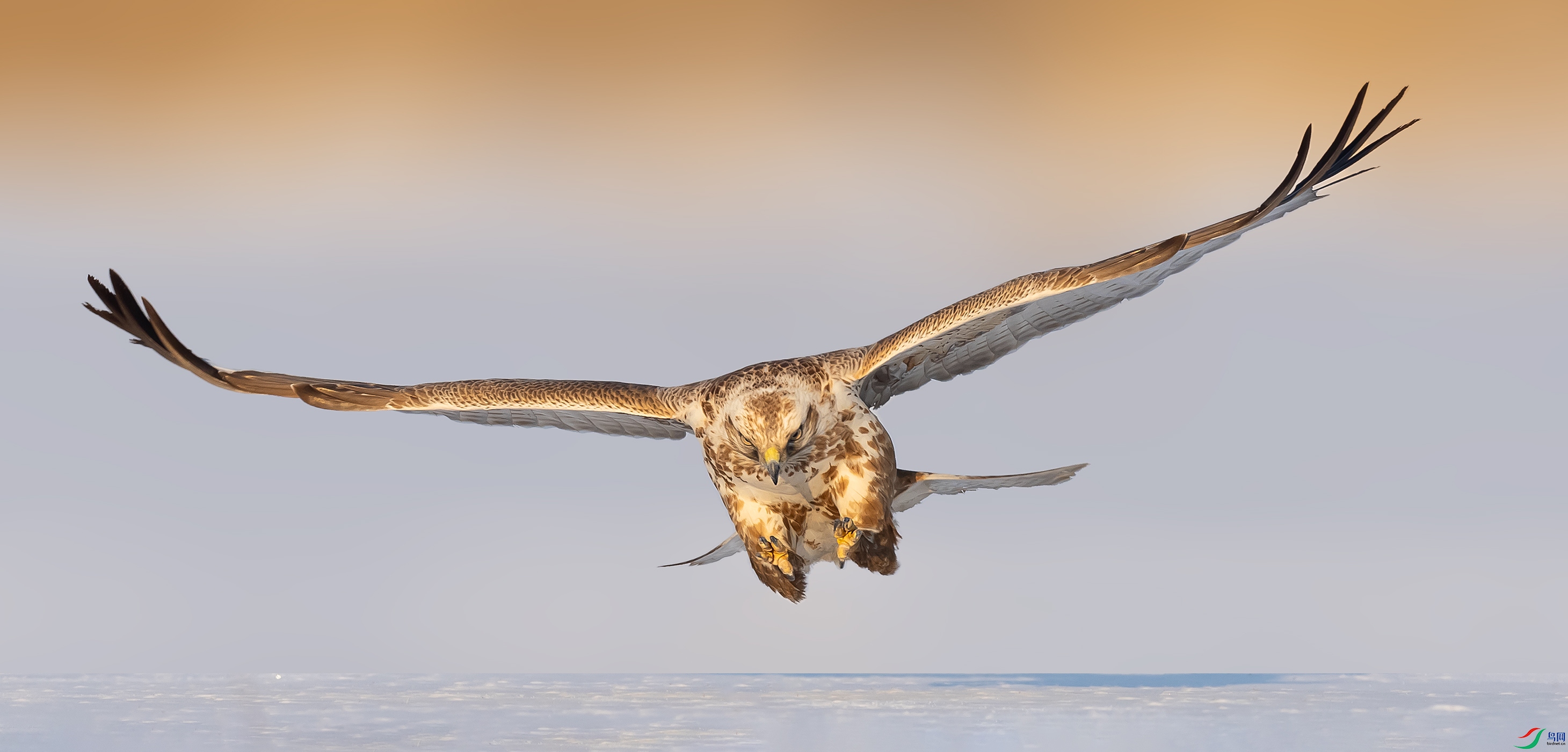 019A5675 ����.jpg