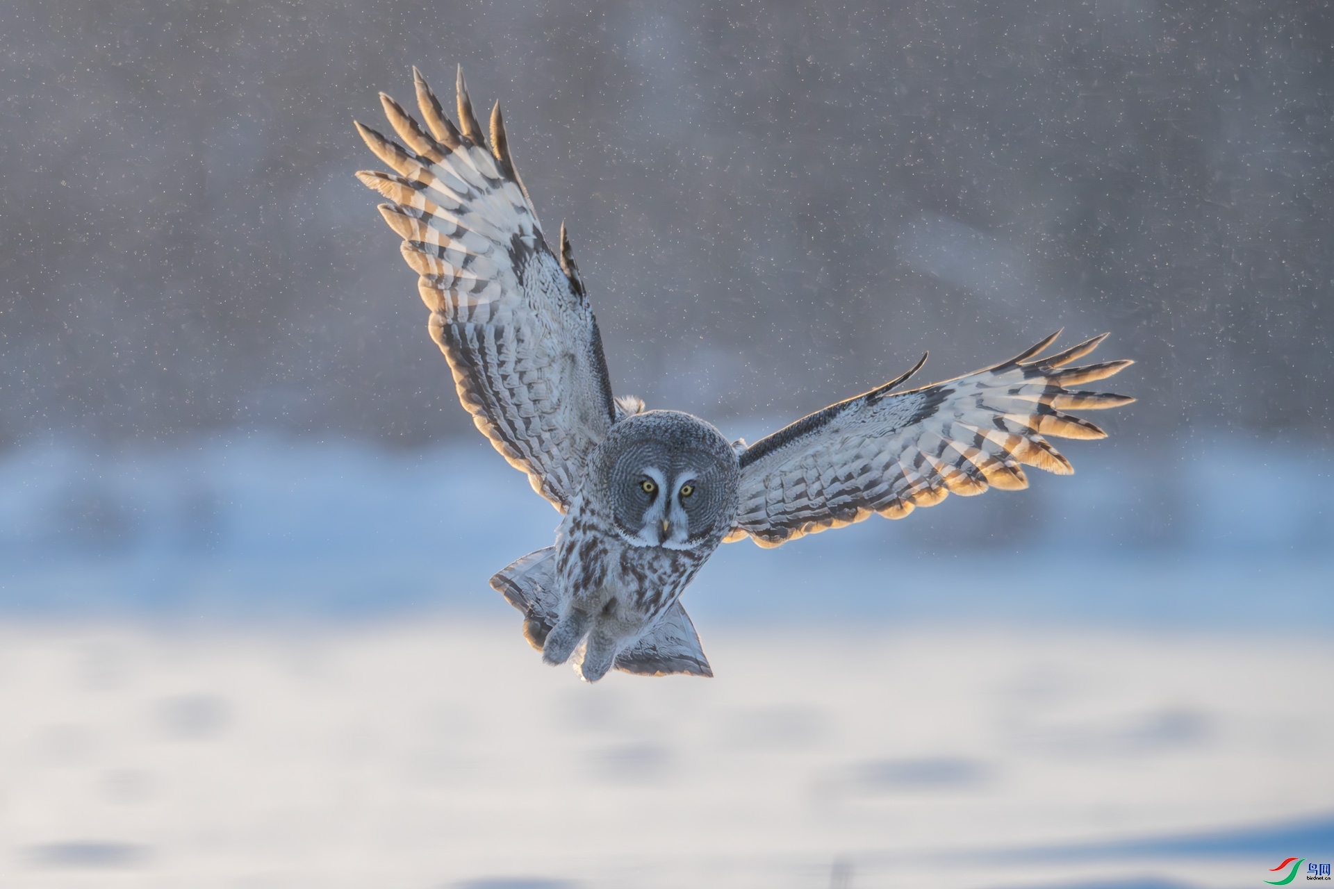 Ѱ������  ���� 0459����  ����.jpg