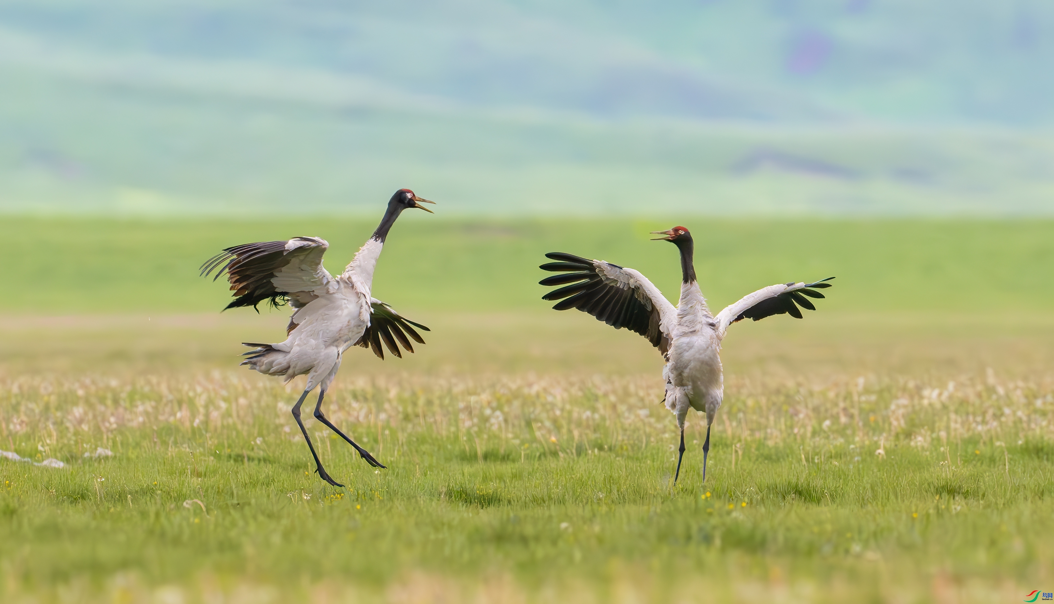 ����  ���� ��Ͽ֮�� ����.jpg