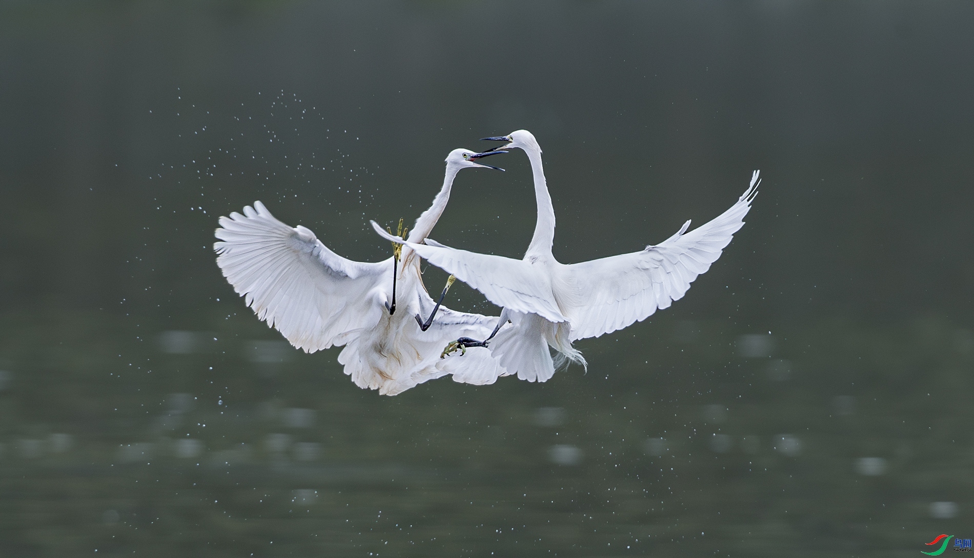 �� ���� ����  ����.jpg