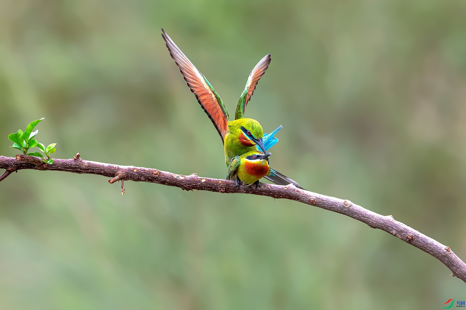 �������  ���� ����ǿ ����.jpg