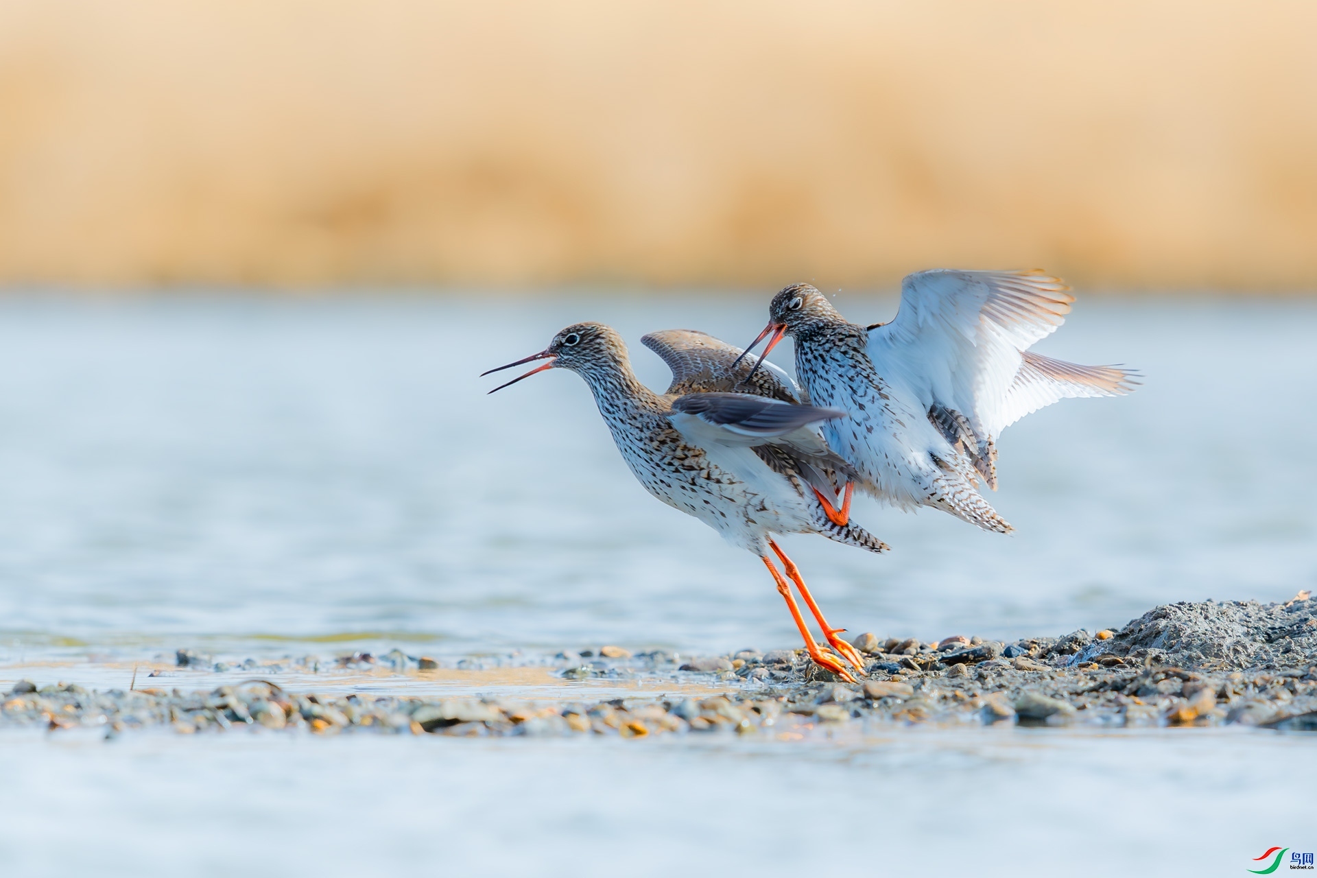 �ֵ����� ���� ����.jpg