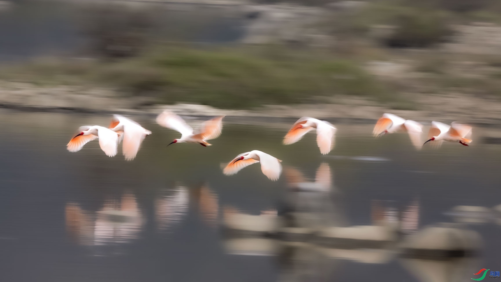 �������q ���� ɳ���Խ� ����.jpg