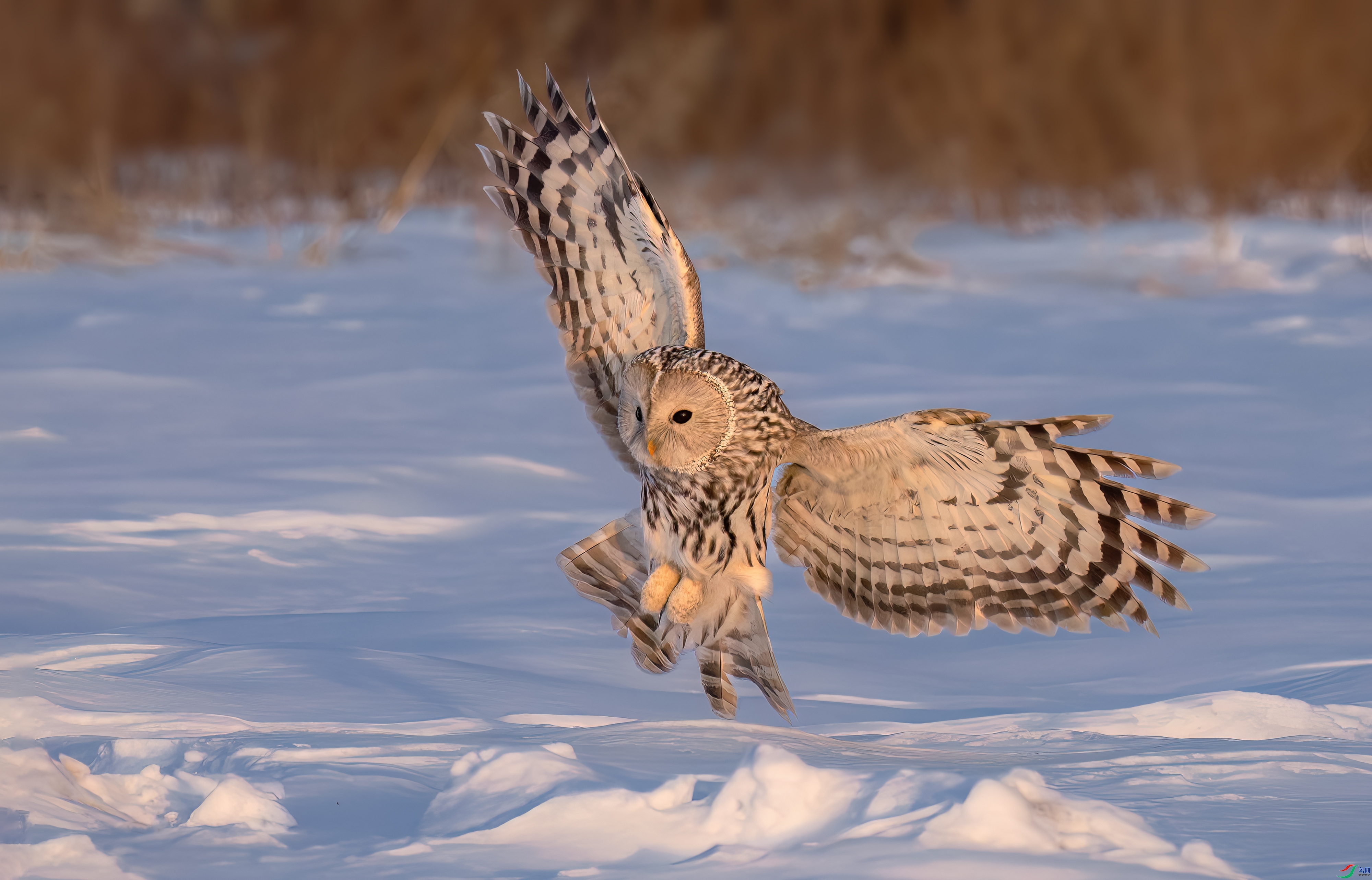 ��β���^ ���� ҽ�Ʒ� ����.jpg