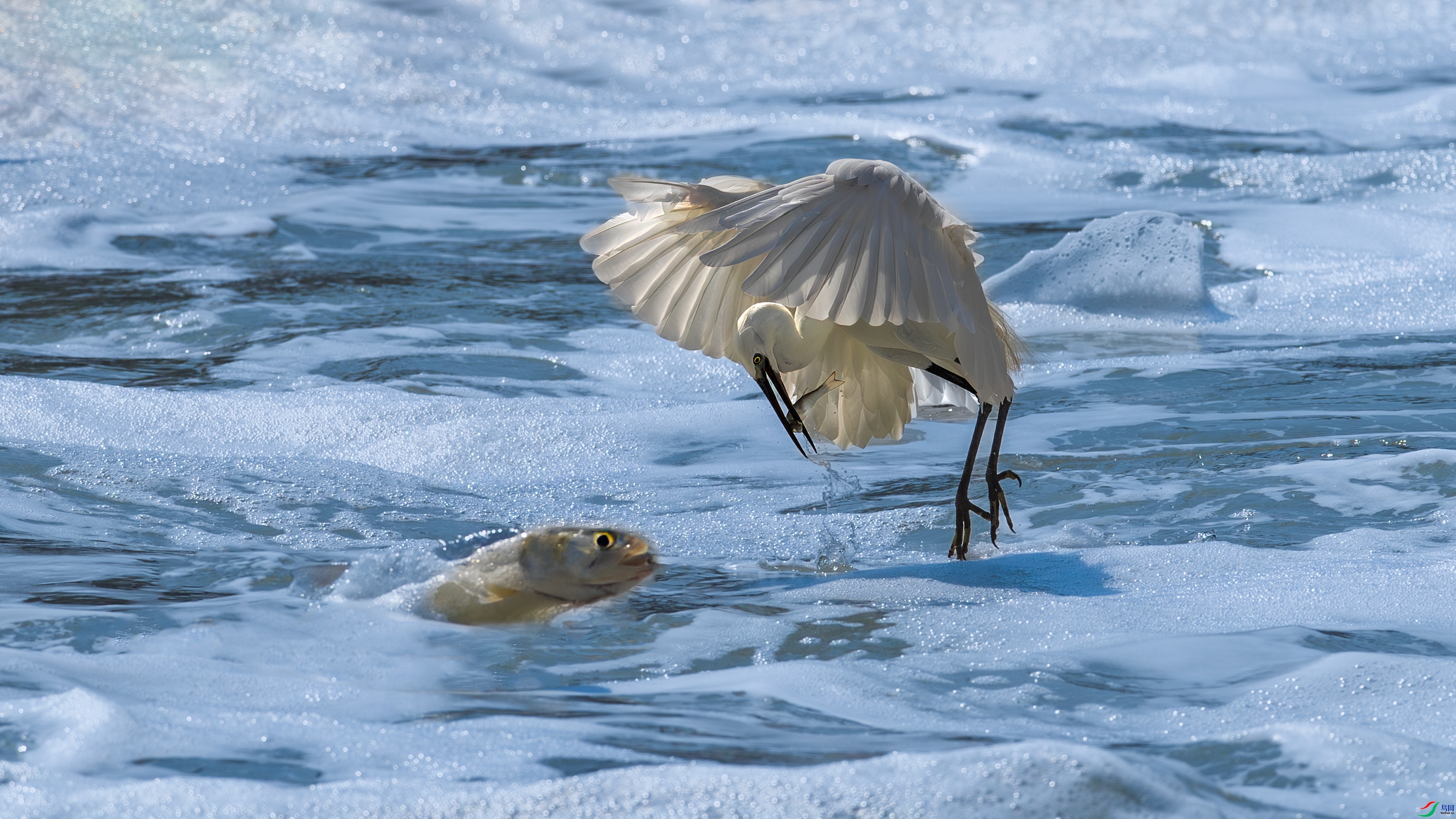 �ɵ��� ���� С���� ����.jpg