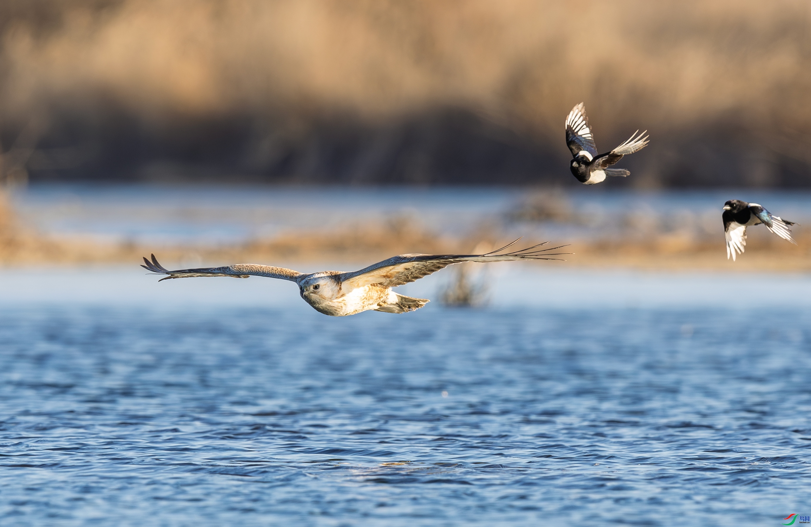 ���  ���� һ·���� ����.jpg