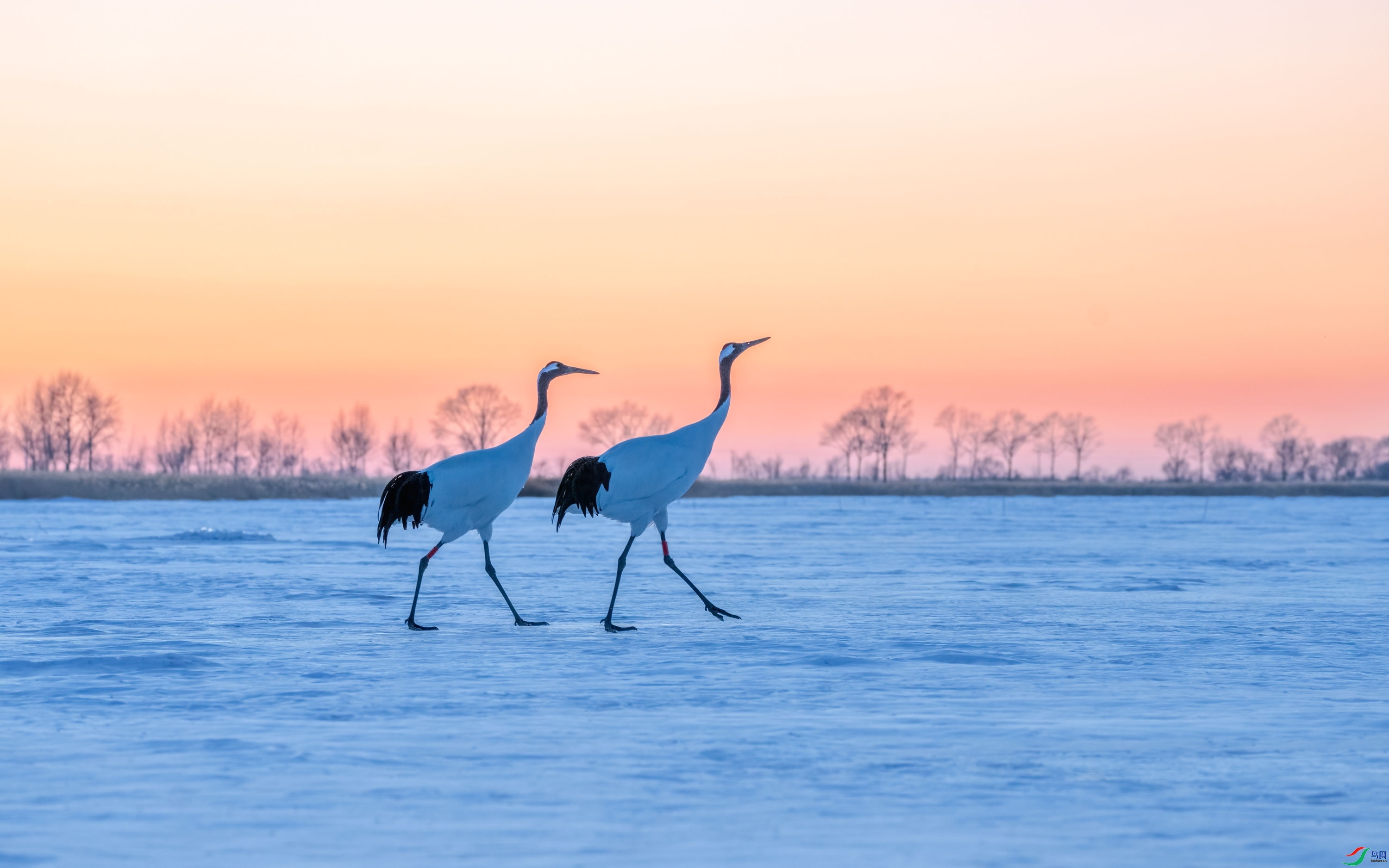 �ɺ�����  ���� ���� ����.jpg