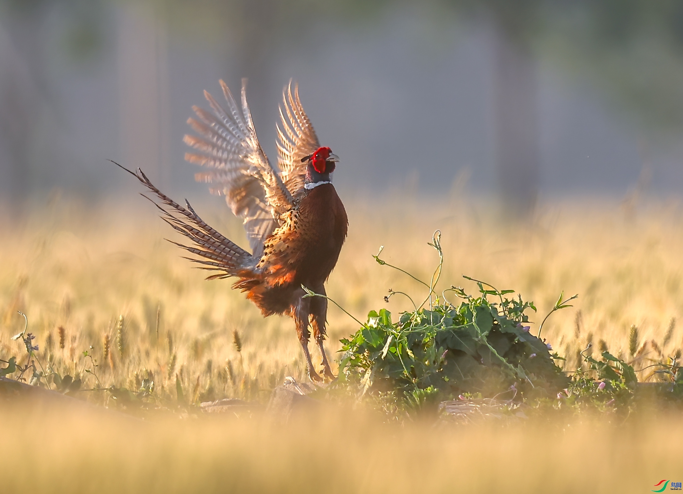 �ۼ�չ�� ���� һ·���� ����.jpg