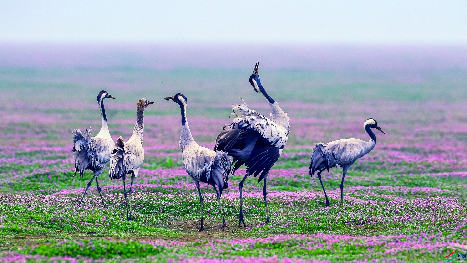 �Һ� ���� л���� ����.jpg