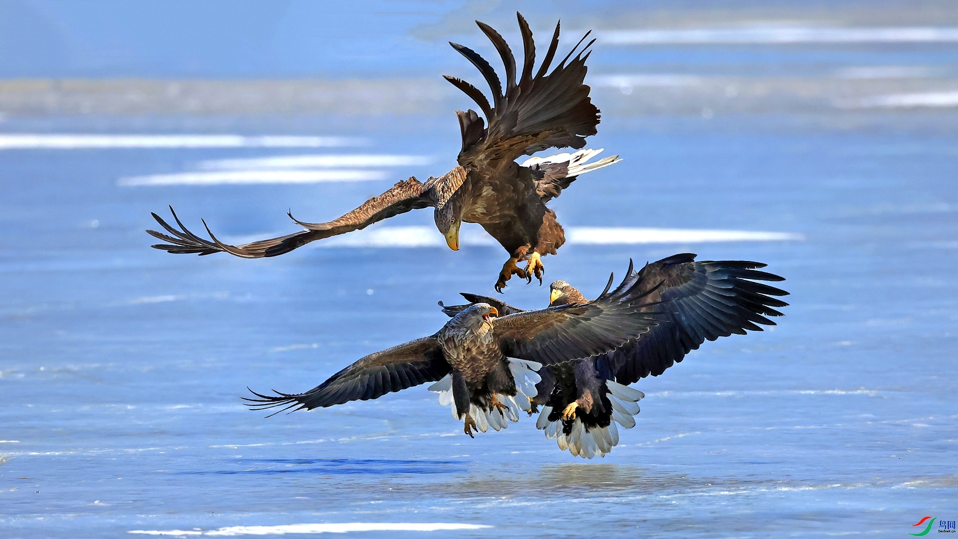 ��ս ���� ������ ����.jpg