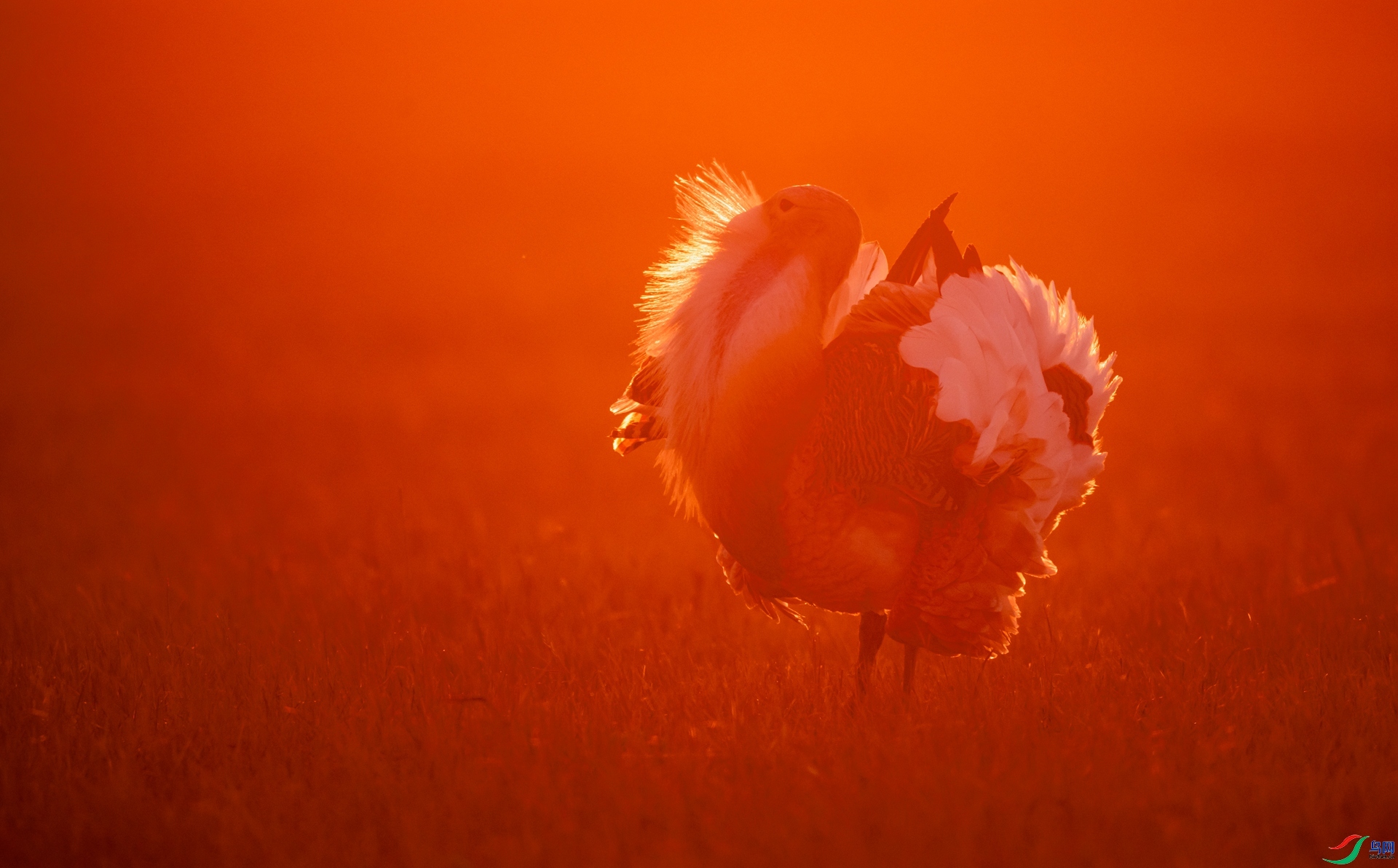 �����еĴ��  ���� ����.jpg