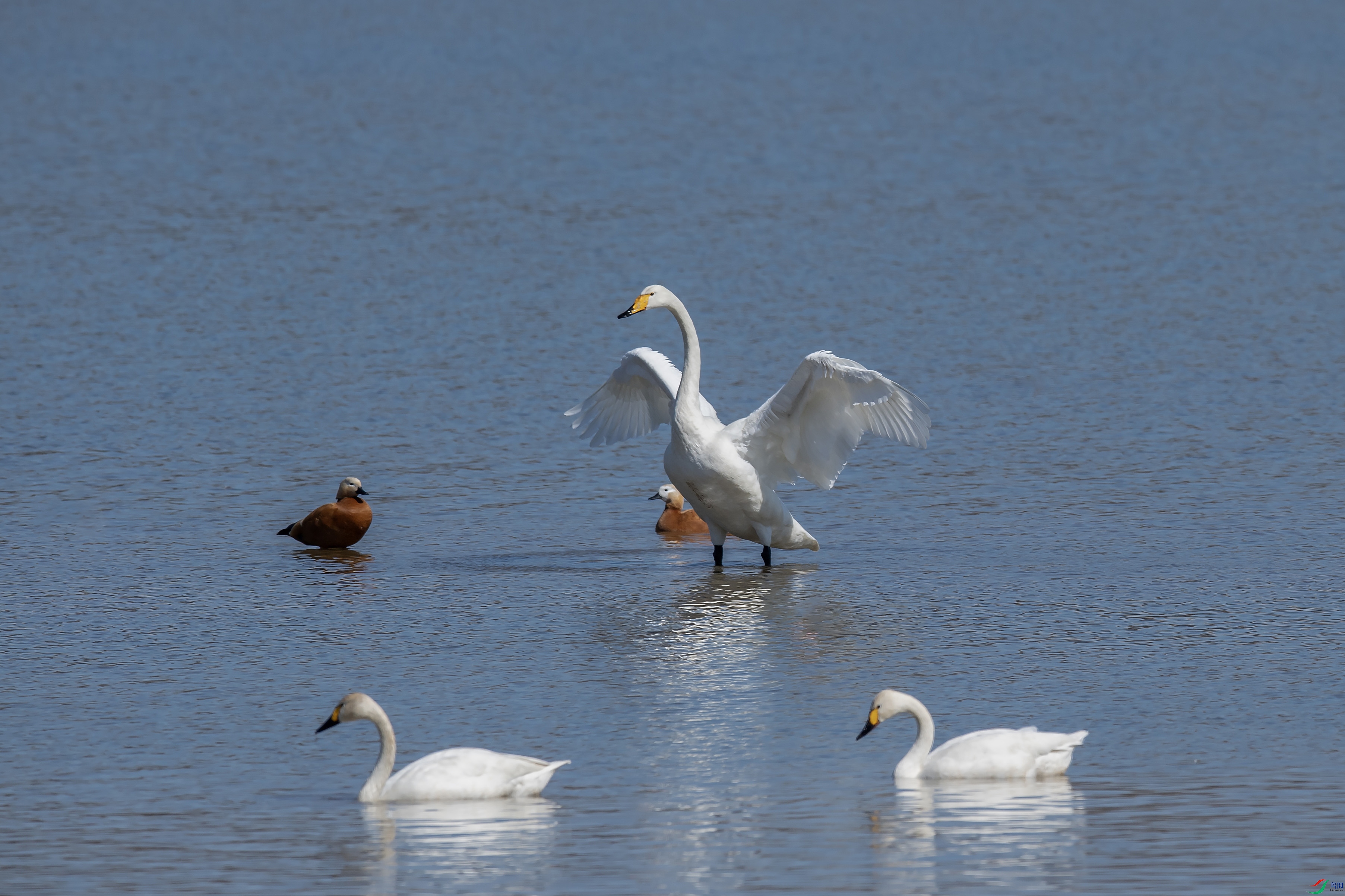 DSC_2802 ����.jpg