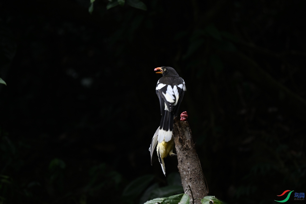 DSC_1313.JPG
