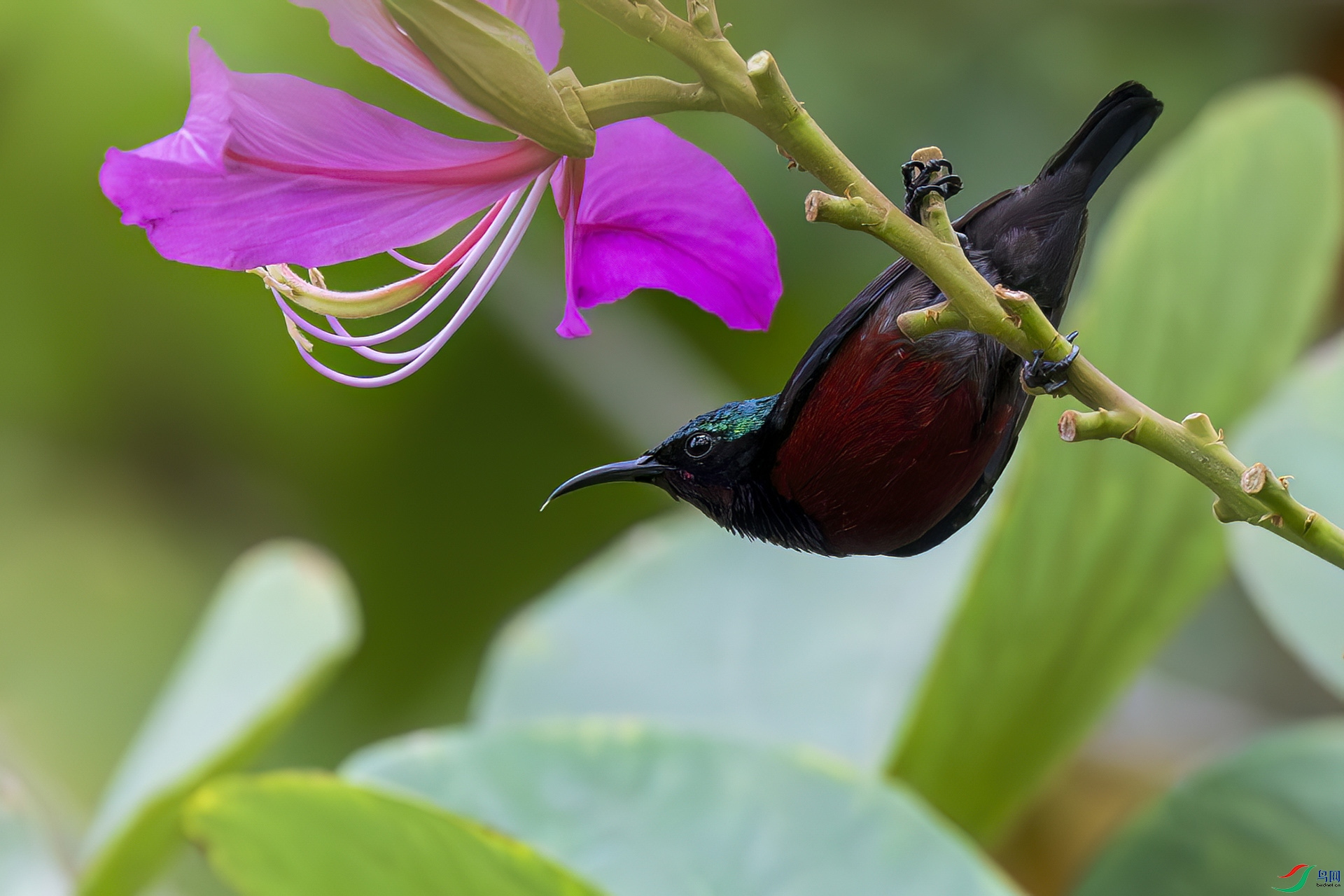 ����̫����