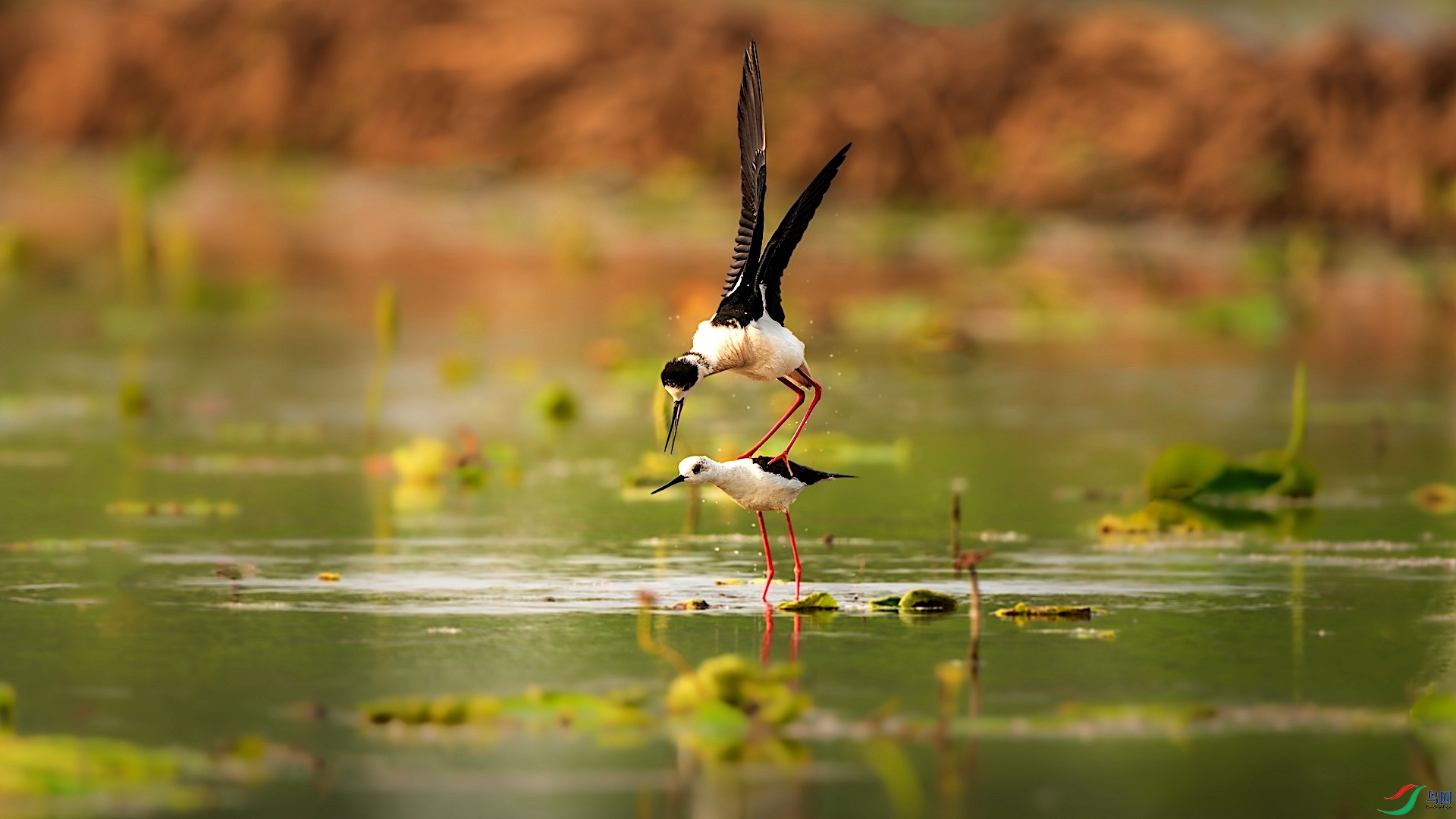 1_XXI3597-����ǿ-NR-1 2.jpeg