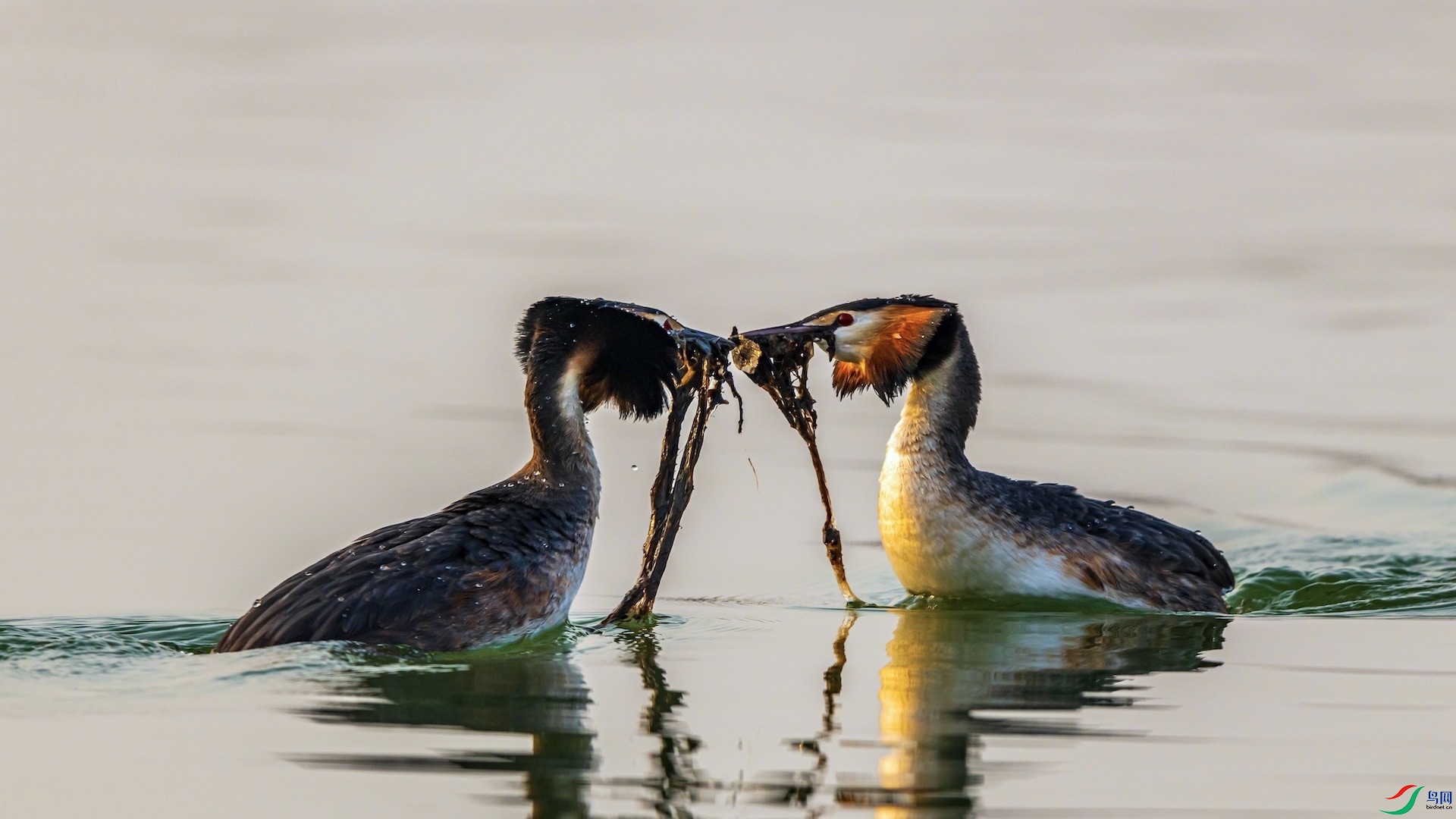 1_XXI3701-1 ����.jpeg