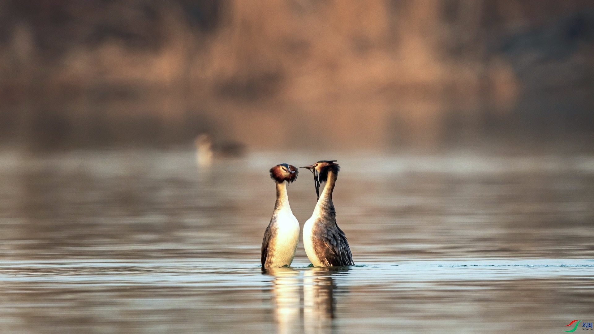 1_XXI4045-1 2 ����.jpeg