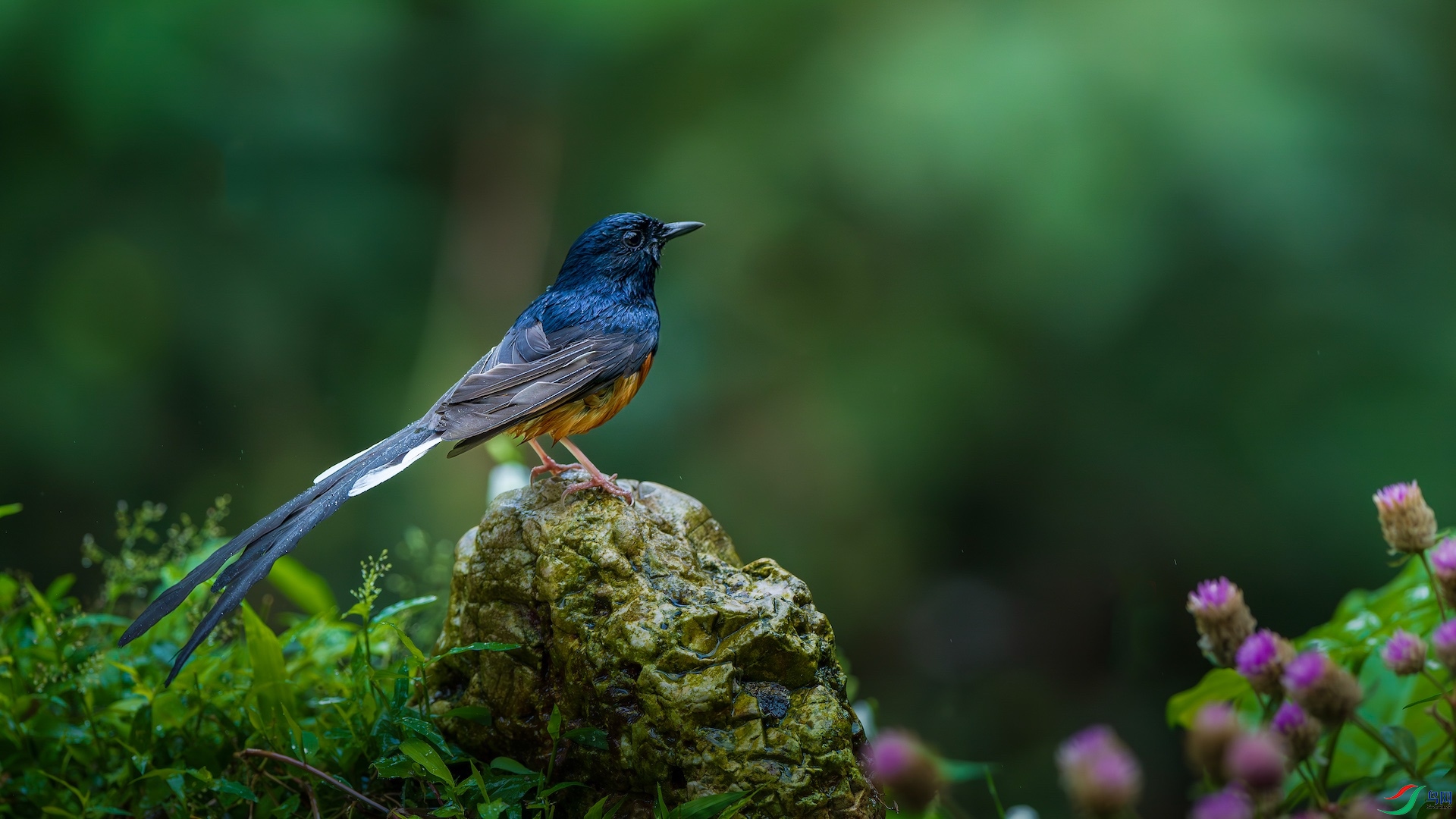 1_XXL0056-����ǿ-NR ����.jpg1-11.jpeg