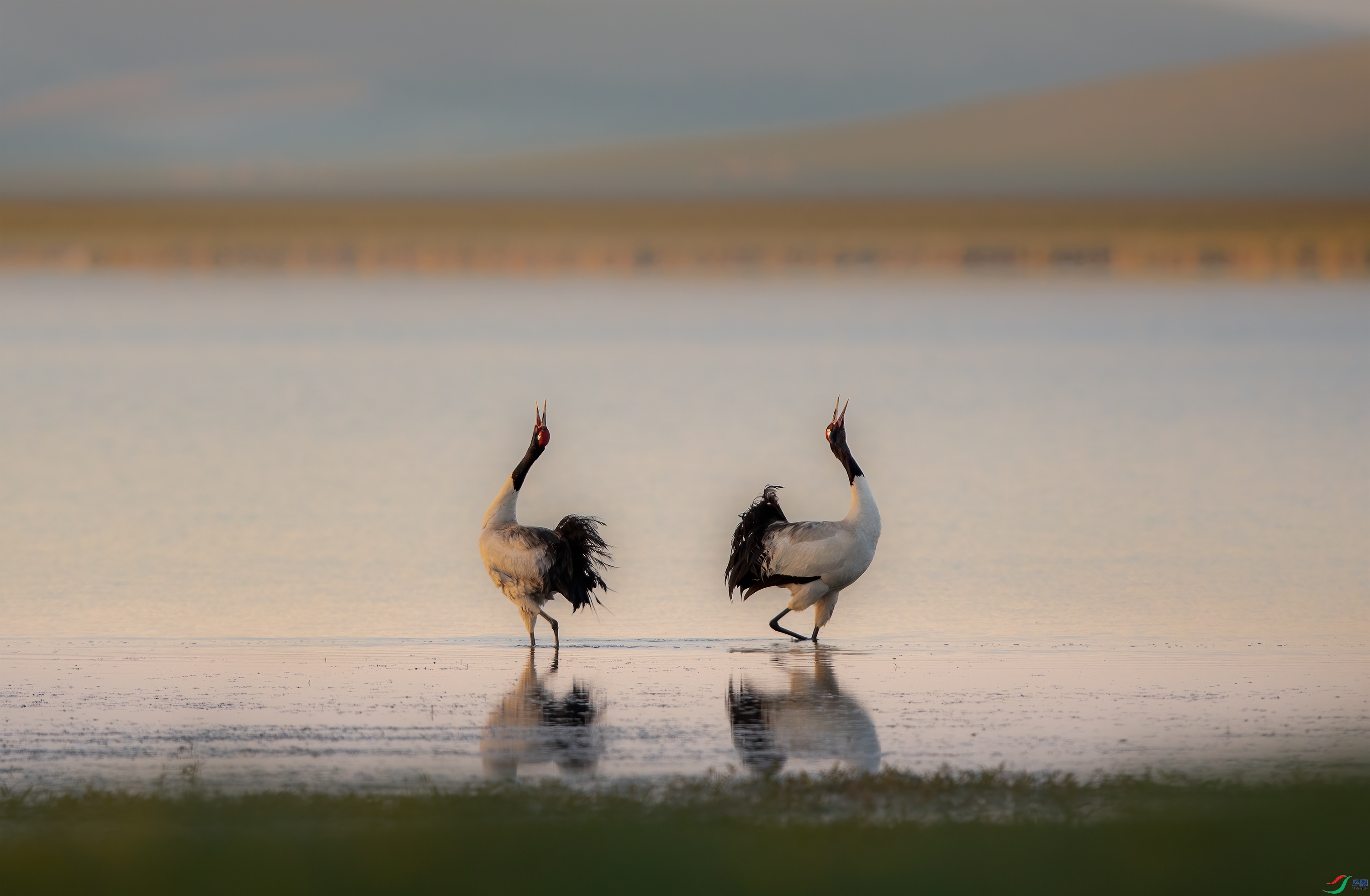 3S5A5550 ����.jpg