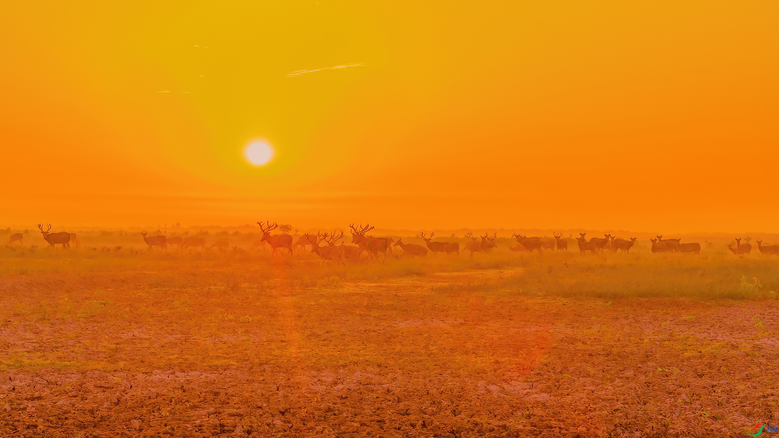 G81A2746 ����.jpg