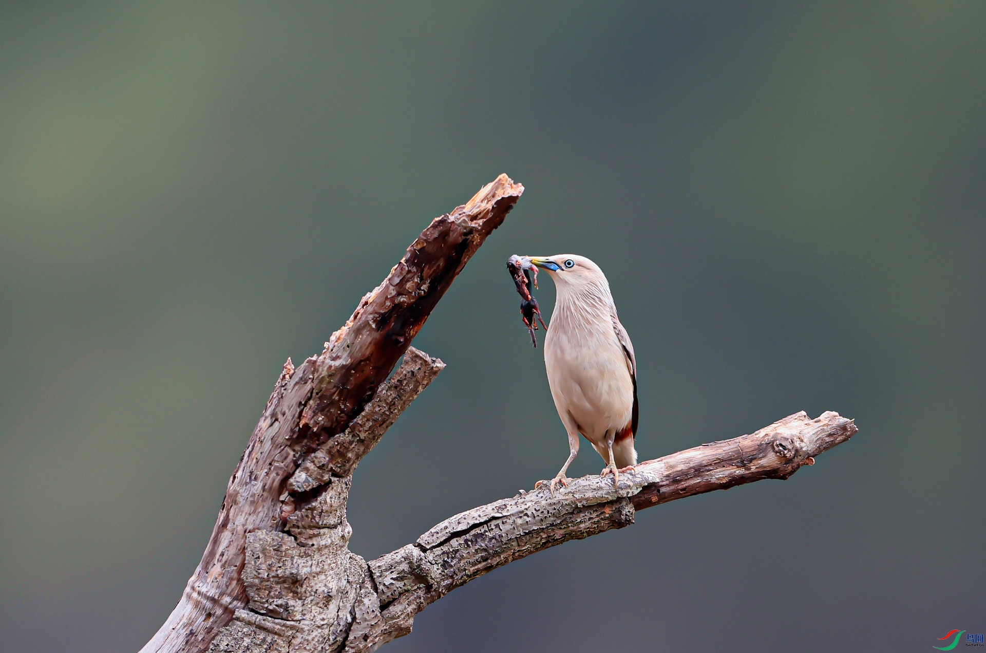 ����4A6A2635��Ͱ���  ����.jpg