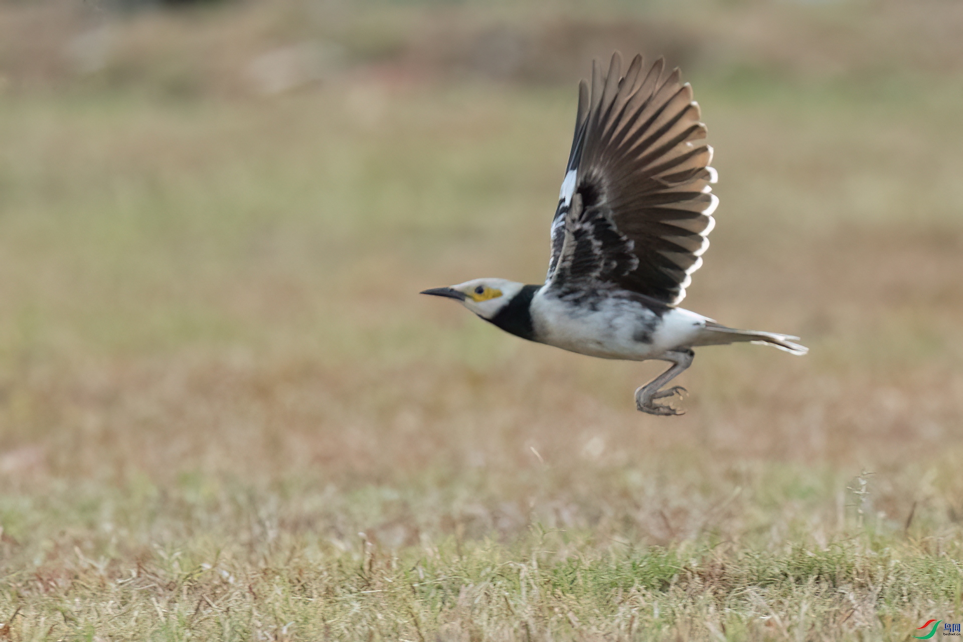 B86I6256 _����.jpg