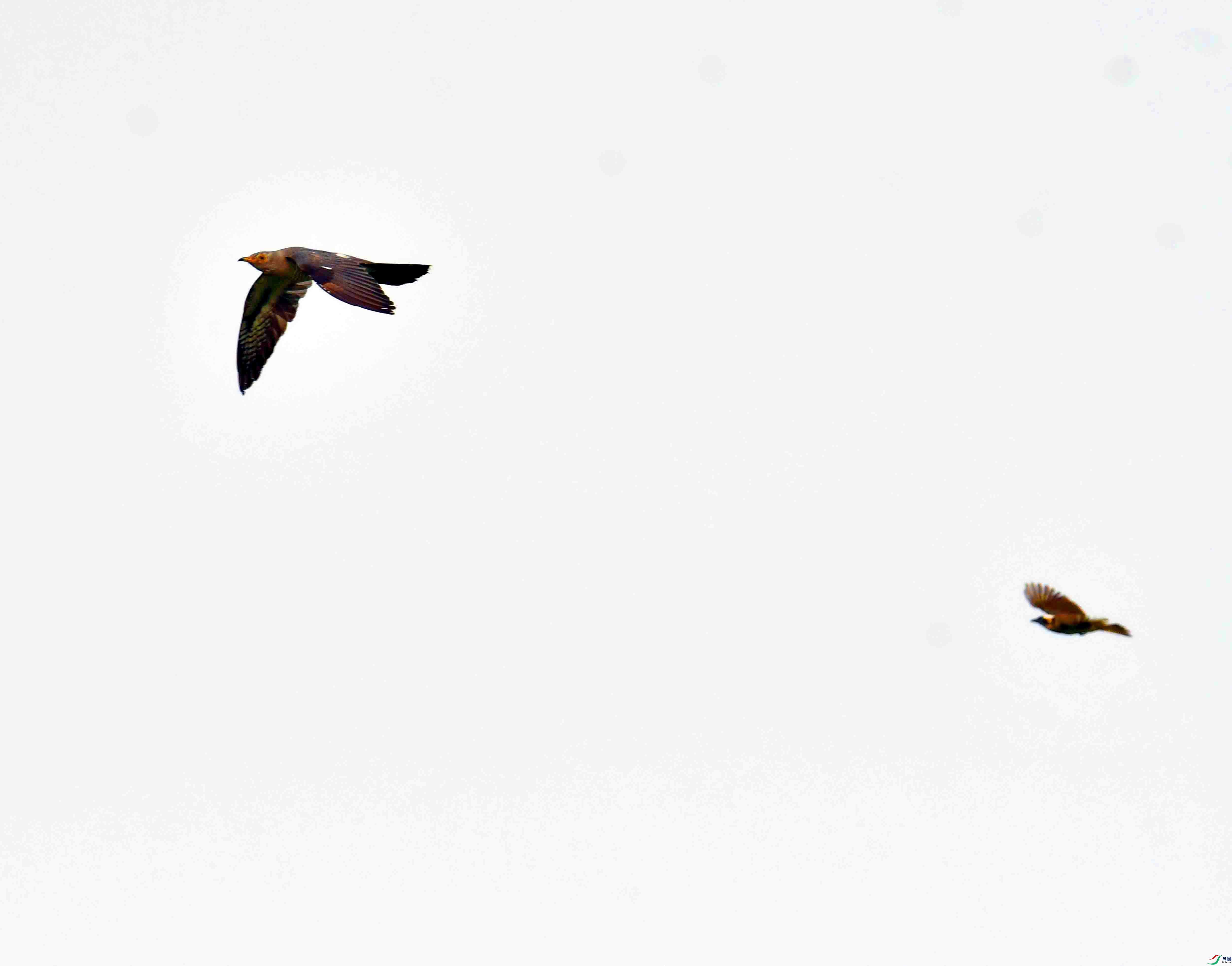 DSC_3052.JPG