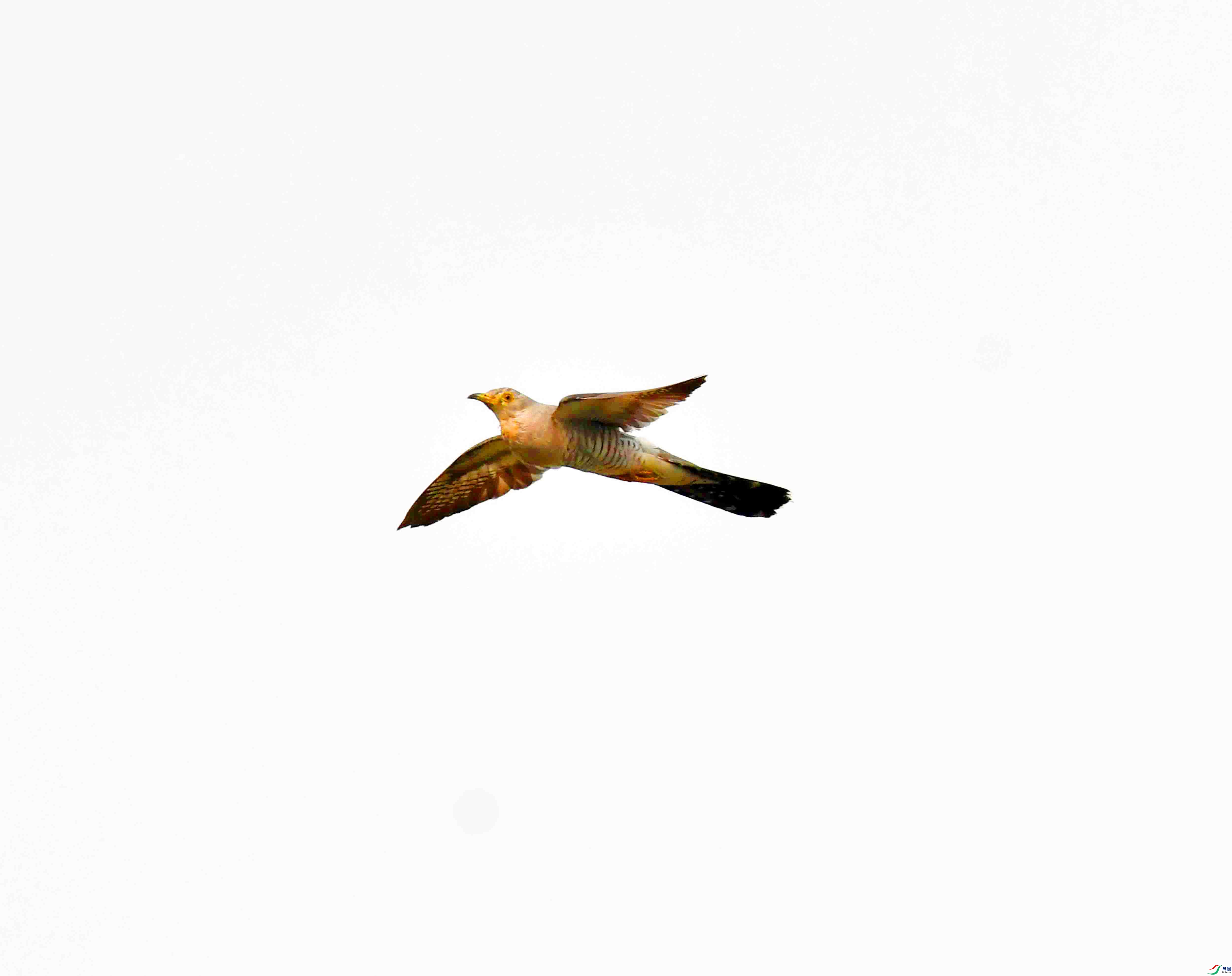 DSC_3065.JPG