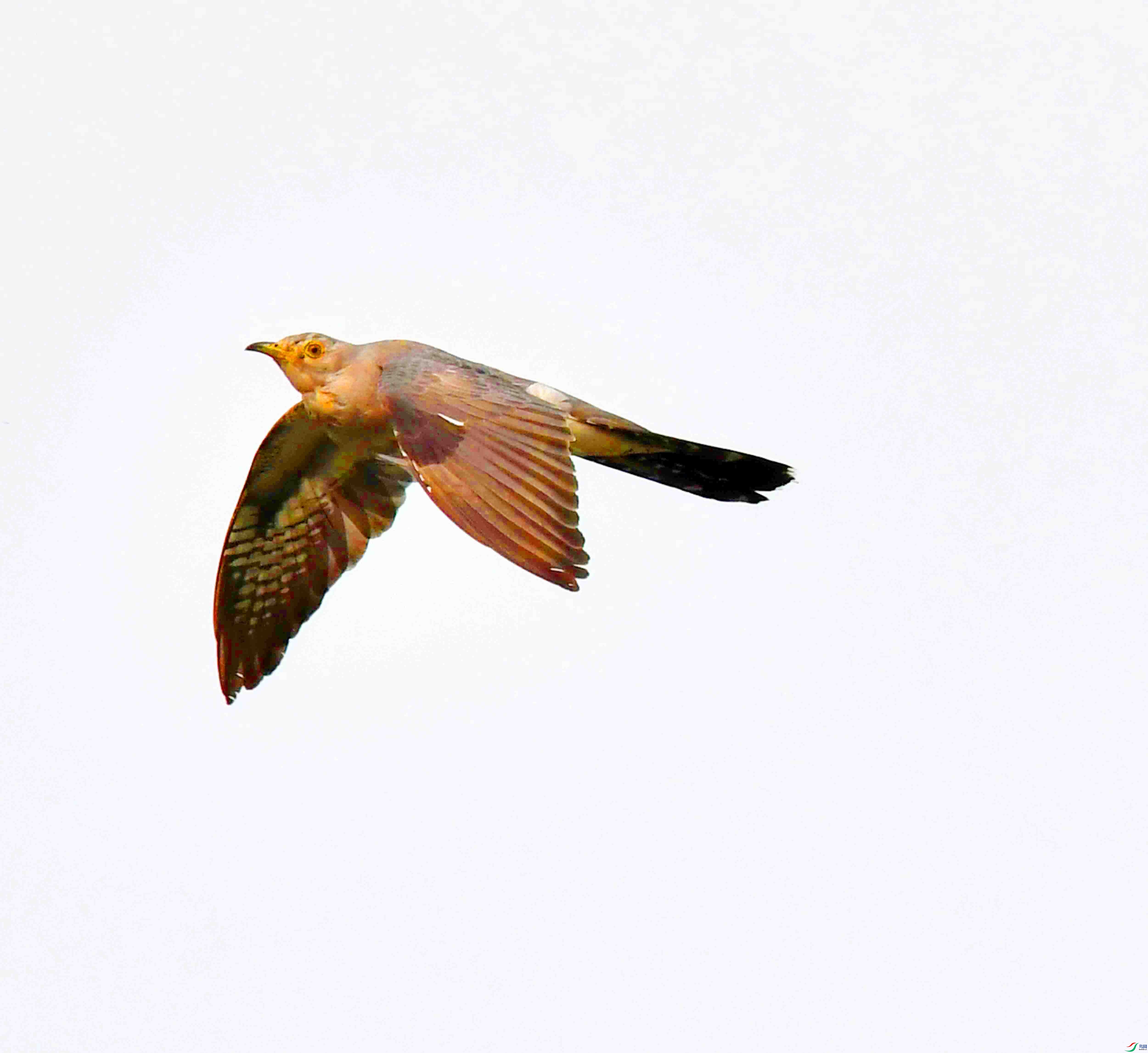 DSC_3067.JPG