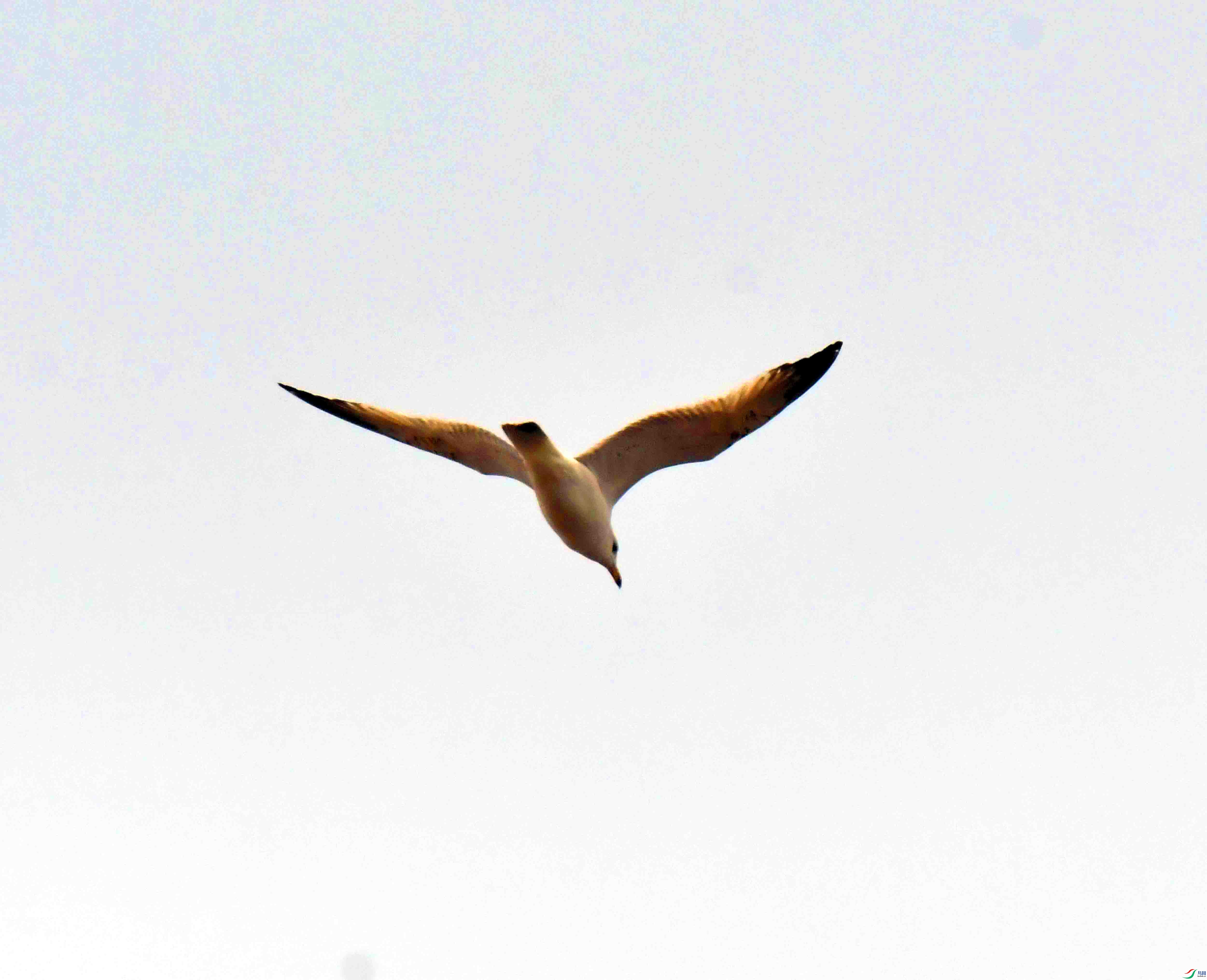 DSC_0059.JPG