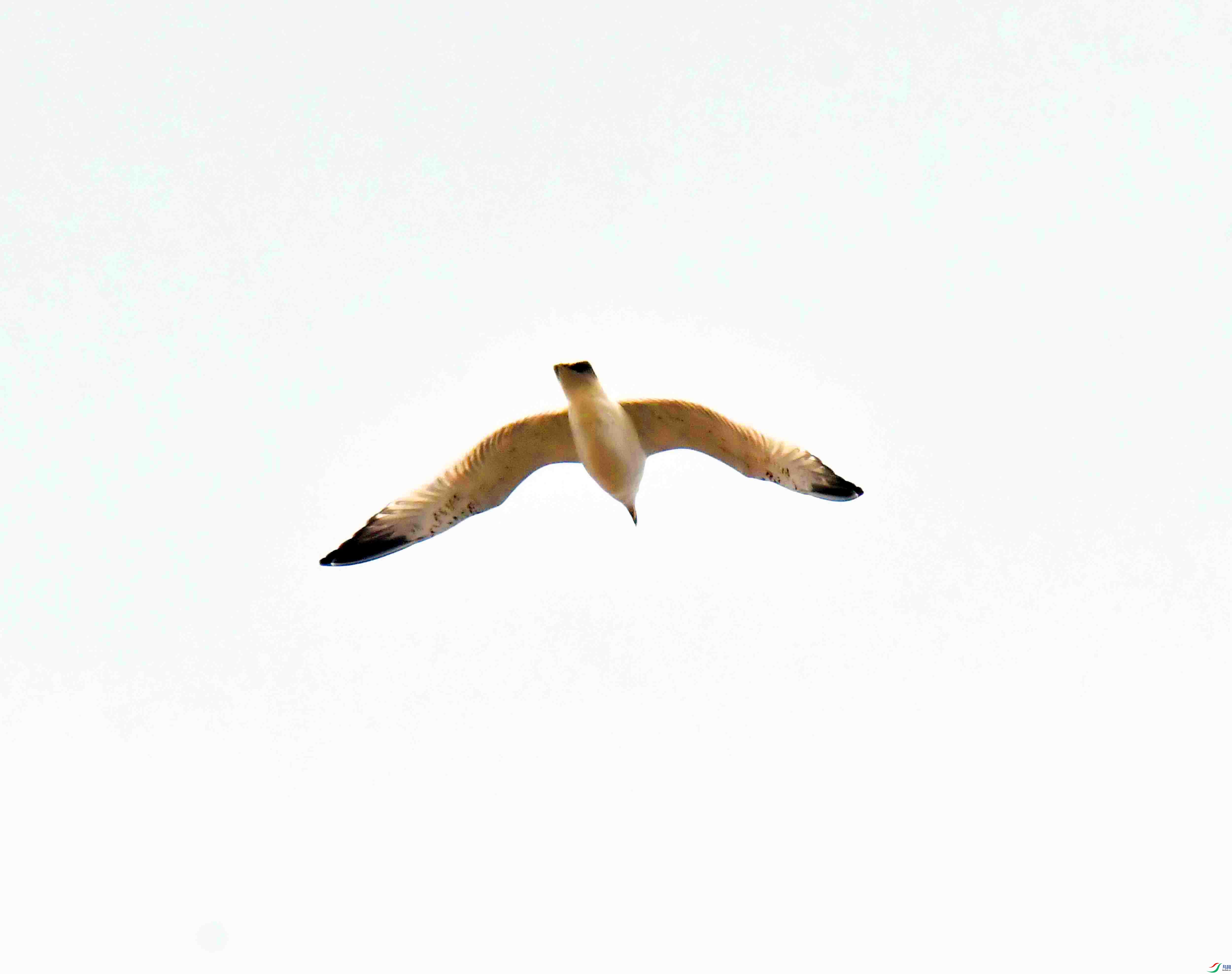 DSC_0058.JPG